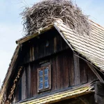 Čigoč, Lonjsko polje, najveća poplavna područja u Europi, Park prirode Lonjsko polje, rijeka Sava, čardaci, prijamni centar Parka prirode Lonjsko polje, posjetiteljski centar Parka prirode Lonjsko polje,  Staza Posavaca,  Čigoč, Lonjsko Polje, the largest floodplains in Europe, Lonjsko Polje Nature Park, Sava River, čardaci, Lonjsko Polje Nature Park Reception Center, Lonjsko Polje Nature Park Visitor Center, Posavina Trail,