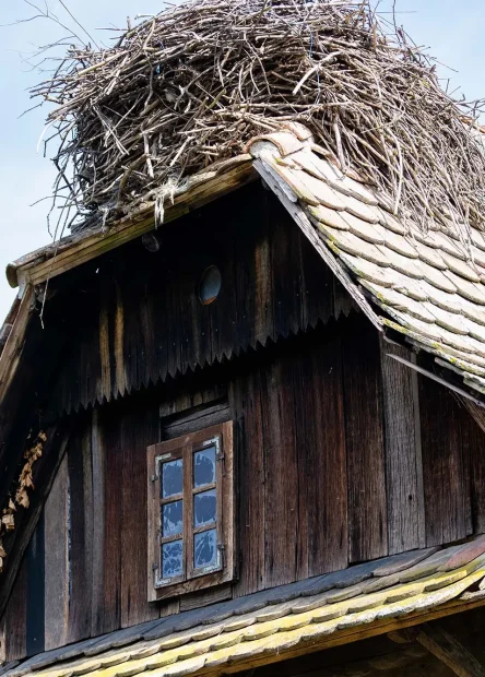 Čigoč, Lonjsko polje, najveća poplavna područja u Europi, Park prirode Lonjsko polje, rijeka Sava, čardaci, prijamni centar Parka prirode Lonjsko polje, posjetiteljski centar Parka prirode Lonjsko polje,  Staza Posavaca,  Čigoč, Lonjsko Polje, the largest floodplains in Europe, Lonjsko Polje Nature Park, Sava River, čardaci, Lonjsko Polje Nature Park Reception Center, Lonjsko Polje Nature Park Visitor Center, Posavina Trail,