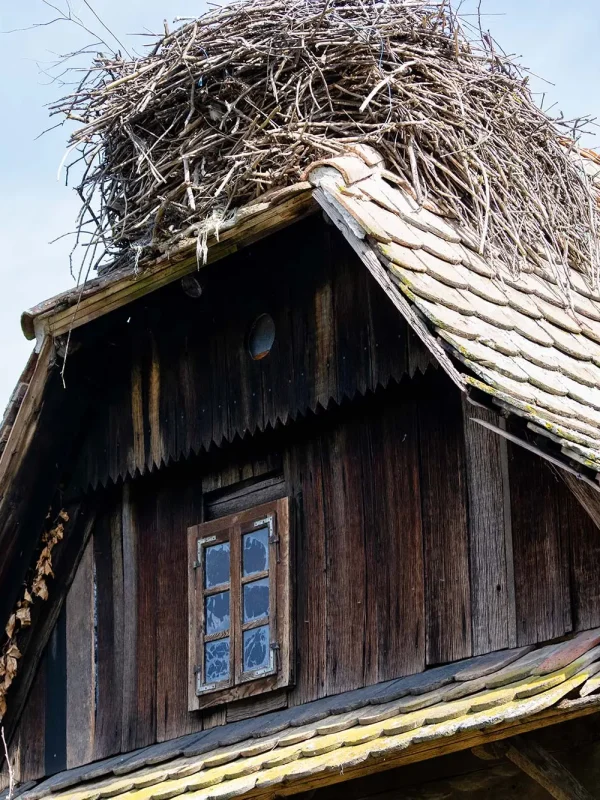 Čigoč, Lonjsko polje, najveća poplavna područja u Europi, Park prirode Lonjsko polje, rijeka Sava, čardaci, prijamni centar Parka prirode Lonjsko polje, posjetiteljski centar Parka prirode Lonjsko polje,  Staza Posavaca,  Čigoč, Lonjsko Polje, the largest floodplains in Europe, Lonjsko Polje Nature Park, Sava River, čardaci, Lonjsko Polje Nature Park Reception Center, Lonjsko Polje Nature Park Visitor Center, Posavina Trail,