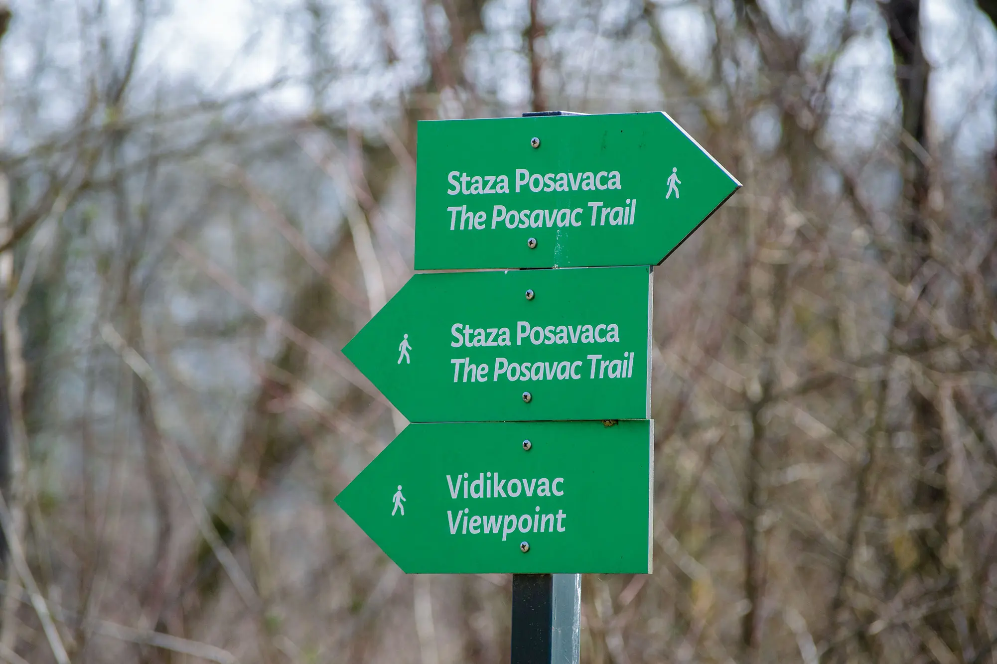 Čigoč, Lonjsko polje, najveća poplavna područja u Europi, Park prirode Lonjsko polje, rijeka Sava, čardaci, prijamni centar Parka prirode Lonjsko polje, posjetiteljski centar Parka prirode Lonjsko polje,  Staza Posavaca,  Čigoč, Lonjsko Polje, the largest floodplains in Europe, Lonjsko Polje Nature Park, Sava River, čardaci, Lonjsko Polje Nature Park Reception Center, Lonjsko Polje Nature Park Visitor Center, Posavina Trail,