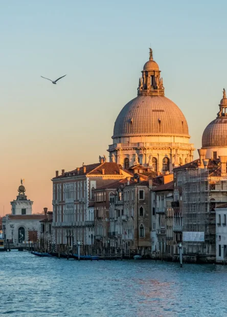 Venecija, grad na vodi, najposjećenija mjesta na svijetu, gondola, Trg svetog Marka Venecija, Ducale, most Rialto, palača Ducale, Venecija skriveni dragulji, Libreria Acqua Alta, San Francesco della Vigna, Squero di San Trovaso, Fondaco dei Tedeschi, Otok San Michele, pet skrivenih mjesta u venenciji, skrivena mjesta u veneciji, skriveni dragulji venecija, što vidjeti u veneciji, što raditi u veneciji, Venice, city on the water, most visited places in the world, gondola, St. Mark's Square Venice, Ducale, Rialto Bridge, Ducale Palace, Venice hidden gems, Libreria Acqua Alta, San Francesco della Vigna, Squero di San Trovaso, Fondaco dei Tedeschi, San Michele Island, five hidden places in Venice, hidden places in Venice, hidden gems of Venice, what to see in Venice, what to do in Venice,