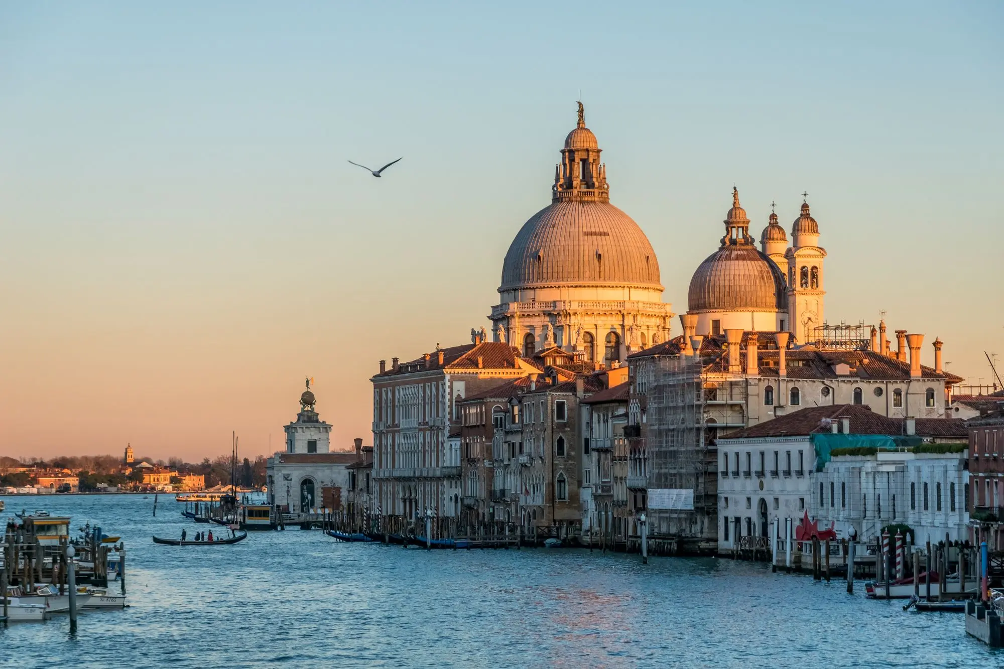 Venecija, grad na vodi, najposjećenija mjesta na svijetu, gondola, Trg svetog Marka Venecija, Ducale, most Rialto, palača Ducale, Venecija skriveni dragulji, Libreria Acqua Alta, San Francesco della Vigna, Squero di San Trovaso, Fondaco dei Tedeschi, Otok San Michele, pet skrivenih mjesta u venenciji, skrivena mjesta u veneciji, skriveni dragulji venecija, što vidjeti u veneciji, što raditi u veneciji, Venice, city on the water, most visited places in the world, gondola, St. Mark's Square Venice, Ducale, Rialto Bridge, Ducale Palace, Venice hidden gems, Libreria Acqua Alta, San Francesco della Vigna, Squero di San Trovaso, Fondaco dei Tedeschi, San Michele Island, five hidden places in Venice, hidden places in Venice, hidden gems of Venice, what to see in Venice, what to do in Venice,