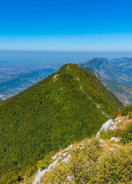 prirodni balkon Tirane, Albanija, Dajti, Nacionalni park Dajti, Maja e Tujanit, Maja e Dajtit, Dajti Express, jezero Bovilla, jezero Bovilla, najveći izvor pitke vode Albanija, Tirana, rezervoar Bovila, nacionalni park Mount Dajt, albanski pejzaži, Kamaz, Bathore, Zall-Herr, Herraj, bar na jezeru Bovila, planina Gamti, jezero Bovila,Tirana, Dajti Express, žičara tirana, žičara albanija, žičara dajti, planina Dajti, Dajti, Albanija, Dajti toranj, restoran na vrhu Dajti, restoran Dajti, žičara Dajti Express, natural balcony of Tirana, Albania, Dajti, Dajti National Park, Maja e Tujanit, Maja e Dajtit, Dajti Express, Lake Bovilla,Albania, Lake Bovilla, largest source of drinking water Albania, Tirana, Bovilla Reservoir, Mount Dajt National Park, Albanian landscapes, Kamaz, Bathore, Zall-Herr, Herraj, Lake Bovilla bar, mountain Gamti, Bovilla lake, Tirana, Dajti Express, cable car tirana, cable car albania, cable car dajti, Dajti mountain, Dajti, Albania, Dajti Tower, restaurant at the top of the Dajti, restaurant Dajti, Dajti Express cable car,