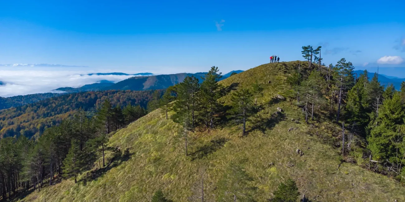 park prirode Tajan, Tajan Bosna i Hercegovina, prirodne ljepote Bosne, proljetne destinacije u BiH, skriveni biseri prirode BiH, jezero Mašica, kanjon Mašica, planinarenje u Bosni, biciklizam u prirodi BiH, speleologija Bosna, prirodni parkovi BiH, vikend izlet u prirodu, Zavidovići priroda, izletište blizu Kaknja, Tajan kako doći, priroda srednja Bosna, Tajan posjet proljeće, skriveni raj u Bosni, destinacija koju niste posjetili, zaboravljeni dragulj prirode, mjesto gdje šuma diše, najbolja lokacija za bijeg iz grada, Park prirode Tajan Wikipedia, Tajan park prirode, Lukina pećina, Srednja stijena, Ski centar Ponijeri, Zavidović, Kakanj, Vareš, Tajan planinarske staze, Tajan Nature Park, Tajan Bosnia and Herzegovina, natural beauties of Bosnia, spring destinations in Bosnia, hidden pearls of nature in Bosnia, Mašica Lake, Mašica Canyon, hiking in Bosnia, cycling in nature in Bosnia, caving in Bosnia, natural parks in Bosnia, weekend trip to nature, Zavidovići nature, picnic area near Kakanj, Tajan how to get there, nature in central Bosnia, Tajan visit in spring, hidden paradise in Bosnia, destination you haven't visited, forgotten gem of nature, place where the forest breathes, best location for escaping the city, Tajan Nature Park Wikipedia, Tajan Nature Park, Lukina Pećina, Srednja Stijena, Ski Center Ponijeri, Zavidović, Kakanj, Vareš, Tajan hiking trails