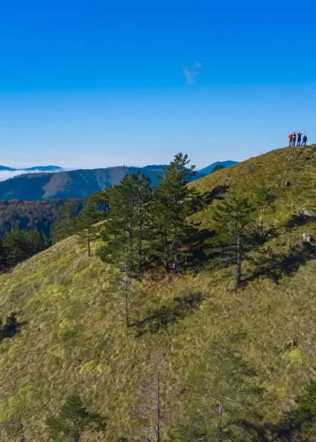 park prirode Tajan, Tajan Bosna i Hercegovina, prirodne ljepote Bosne, proljetne destinacije u BiH, skriveni biseri prirode BiH, jezero Mašica, kanjon Mašica, planinarenje u Bosni, biciklizam u prirodi BiH, speleologija Bosna, prirodni parkovi BiH, vikend izlet u prirodu, Zavidovići priroda, izletište blizu Kaknja, Tajan kako doći, priroda srednja Bosna, Tajan posjet proljeće, skriveni raj u Bosni, destinacija koju niste posjetili, zaboravljeni dragulj prirode, mjesto gdje šuma diše, najbolja lokacija za bijeg iz grada, Park prirode Tajan Wikipedia, Tajan park prirode, Lukina pećina, Srednja stijena, Ski centar Ponijeri, Zavidović, Kakanj, Vareš, Tajan planinarske staze, Tajan Nature Park, Tajan Bosnia and Herzegovina, natural beauties of Bosnia, spring destinations in Bosnia, hidden pearls of nature in Bosnia, Mašica Lake, Mašica Canyon, hiking in Bosnia, cycling in nature in Bosnia, caving in Bosnia, natural parks in Bosnia, weekend trip to nature, Zavidovići nature, picnic area near Kakanj, Tajan how to get there, nature in central Bosnia, Tajan visit in spring, hidden paradise in Bosnia, destination you haven't visited, forgotten gem of nature, place where the forest breathes, best location for escaping the city, Tajan Nature Park Wikipedia, Tajan Nature Park, Lukina Pećina, Srednja Stijena, Ski Center Ponijeri, Zavidović, Kakanj, Vareš, Tajan hiking trails
