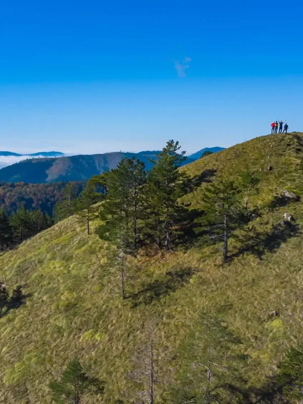 park prirode Tajan, Tajan Bosna i Hercegovina, prirodne ljepote Bosne, proljetne destinacije u BiH, skriveni biseri prirode BiH, jezero Mašica, kanjon Mašica, planinarenje u Bosni, biciklizam u prirodi BiH, speleologija Bosna, prirodni parkovi BiH, vikend izlet u prirodu, Zavidovići priroda, izletište blizu Kaknja, Tajan kako doći, priroda srednja Bosna, Tajan posjet proljeće, skriveni raj u Bosni, destinacija koju niste posjetili, zaboravljeni dragulj prirode, mjesto gdje šuma diše, najbolja lokacija za bijeg iz grada, Park prirode Tajan Wikipedia, Tajan park prirode, Lukina pećina, Srednja stijena, Ski centar Ponijeri, Zavidović, Kakanj, Vareš, Tajan planinarske staze, Tajan Nature Park, Tajan Bosnia and Herzegovina, natural beauties of Bosnia, spring destinations in Bosnia, hidden pearls of nature in Bosnia, Mašica Lake, Mašica Canyon, hiking in Bosnia, cycling in nature in Bosnia, caving in Bosnia, natural parks in Bosnia, weekend trip to nature, Zavidovići nature, picnic area near Kakanj, Tajan how to get there, nature in central Bosnia, Tajan visit in spring, hidden paradise in Bosnia, destination you haven't visited, forgotten gem of nature, place where the forest breathes, best location for escaping the city, Tajan Nature Park Wikipedia, Tajan Nature Park, Lukina Pećina, Srednja Stijena, Ski Center Ponijeri, Zavidović, Kakanj, Vareš, Tajan hiking trails