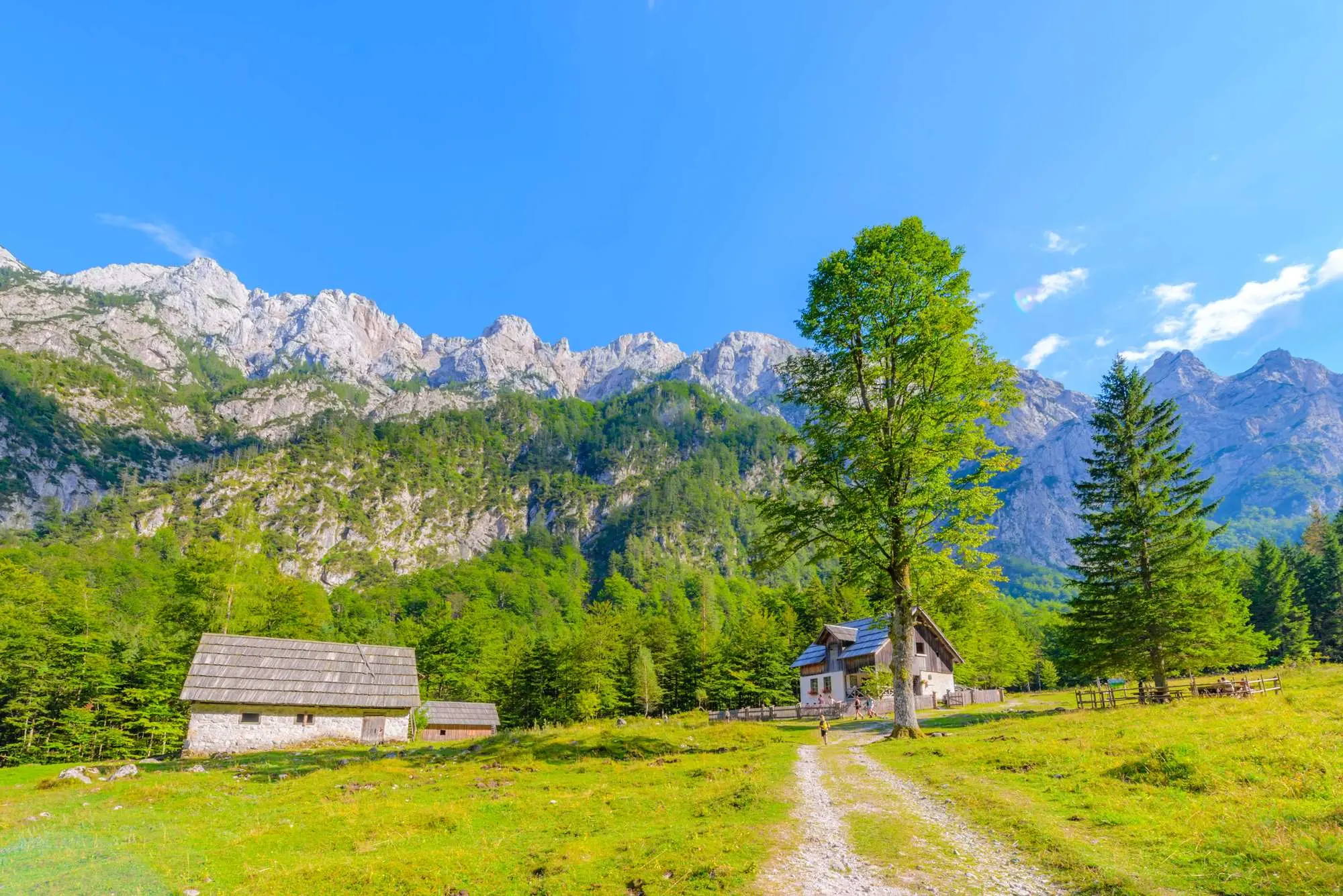 Slovenija, Slovenija u proljeće, Kolpa Park prirode, Park prirode Kolpa, dolina rijeke Kolpe, Robanov kot, Snežnik, dvorac Snežnik, Kostanjevica na Krki, slovenska Venecija, samostan Kostanjevica, Prirodni rezervat Zelenci, Sava Dolinka, Slovenia, Slovenia in the spring, Kolpa Nature Park, Kolpa Nature Park, Kolpa River Valley, Robanov Kot, Snežnik, Snežnik Castle, Kostanjevica na Krka, Slovenian Venice, Kostanjevica Monastery, Zelenci Nature Reserve, Sava Dolinka,
