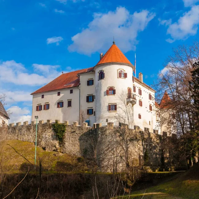 Velenjski dvorac u Sloveniji, renesansni dvorac u Šaleškoj dolini, povijest Velenjskog dvorca, Muzej Velenje izložbe, afrička zbirka Františeka Foita, mastodont Šaleška dolina, kulturne manifestacije u Velenju, dvorac za vjenčanja Slovenija, turističke atrakcije Velenje, radno vrijeme Muzeja Velenje, cijena ulaznica za Velenjski dvorac, što posjetiti u Velenju, Velenjsko jezero, podzemni muzej rudarstva Velenje, dvorci za posjetiti u Sloveniji, renesansna arhitektura Slovenija, znamenitosti sjeverne Slovenije, obiteljski izlet u Velenje, kulturna baština Slovenije, Šaleška dolina, Velenje, grad Velenje, Velenjski dvorac, renesansni dvorci u Sloveniji, obitelji Kunšperk, obitelj Wagen, Muzej Velenje, Velenjsko jezero, Muzej rudarstva, Velenjski grad, Velenj Castle in Slovenia, Renaissance Castle in Šaleška Valley, History of Velenje Castle, Velenje Museum Exhibitions, František Foit African Collection, Šaleška Valley Mastodon, Cultural Events in Velenje, Castle for Weddings Slovenia, Velenje Tourist Attractions, Opening Hours of the Velenje Museum, Ticket Prices for Velenje Castle, What to Visit in Velenje, Velenje Lake, Velenje Underground Mining Museum, Castles to Visit in Slovenia, Renaissance Architecture Slovenia, Landmarks of northern Slovenia, family trip to Velenje, cultural heritage of Slovenia, Šaleška dolina, Velenje, city of Velenje, Velenj castle, Renaissance castles in Slovenia, Kunšperk family, Wagen family, Velenje Museum, Velenj lake, Mining Museum, Velenj town