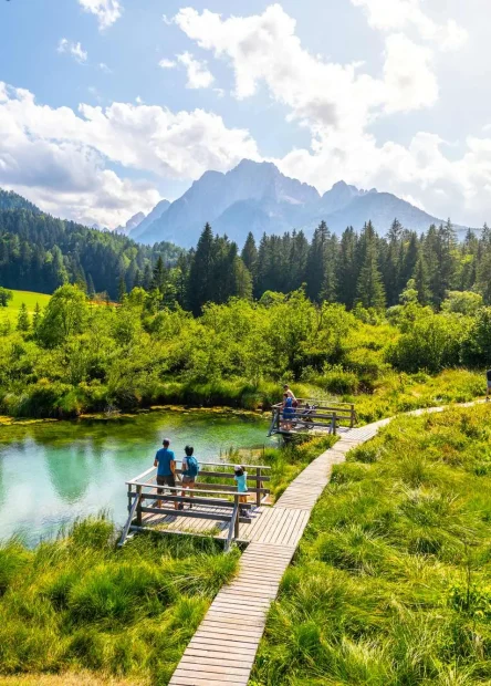 ​Slovenija, ​Slovenija u proljeće, ​ Kolpa Park prirode, Park prirode Kolpa, dolina rijeke Kolpe, Robanov kot, Snežnik, dvorac Snežnik, Kostanjevica na Krki, slovenska Venecija, samostan Kostanjevica, Prirodni rezervat Zelenci, Sava Dolinka,  ​Slovenia, ​Slovenia in the spring, ​ Kolpa Nature Park, Kolpa Nature Park, Kolpa River Valley, Robanov Kot, Snežnik, Snežnik Castle, Kostanjevica na Krka, Slovenian Venice, Kostanjevica Monastery, Zelenci Nature Reserve, Sava Dolinka,