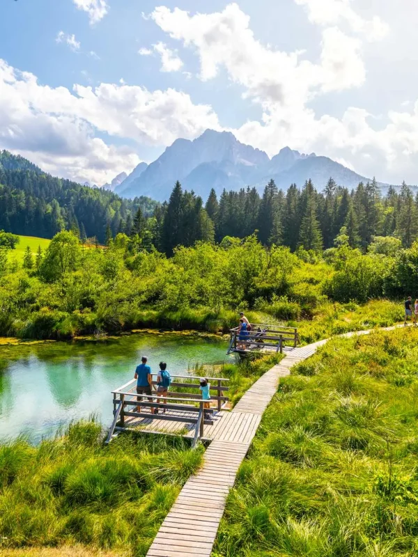 ​Slovenija, ​Slovenija u proljeće, ​ Kolpa Park prirode, Park prirode Kolpa, dolina rijeke Kolpe, Robanov kot, Snežnik, dvorac Snežnik, Kostanjevica na Krki, slovenska Venecija, samostan Kostanjevica, Prirodni rezervat Zelenci, Sava Dolinka,  ​Slovenia, ​Slovenia in the spring, ​ Kolpa Nature Park, Kolpa Nature Park, Kolpa River Valley, Robanov Kot, Snežnik, Snežnik Castle, Kostanjevica na Krka, Slovenian Venice, Kostanjevica Monastery, Zelenci Nature Reserve, Sava Dolinka,