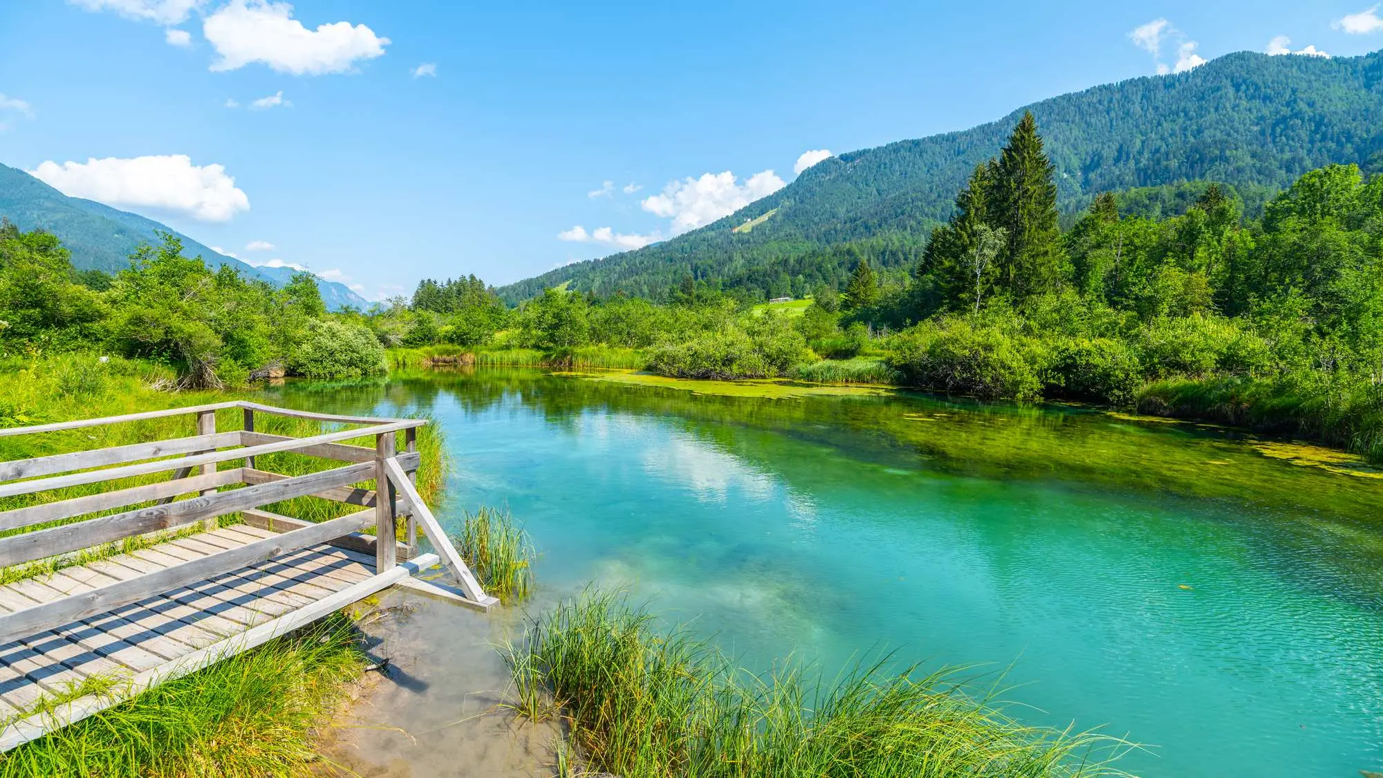 Slovenija, Slovenija u proljeće, Kolpa Park prirode, Park prirode Kolpa, dolina rijeke Kolpe, Robanov kot, Snežnik, dvorac Snežnik, Kostanjevica na Krki, slovenska Venecija, samostan Kostanjevica, Prirodni rezervat Zelenci, Sava Dolinka, Slovenia, Slovenia in the spring, Kolpa Nature Park, Kolpa Nature Park, Kolpa River Valley, Robanov Kot, Snežnik, Snežnik Castle, Kostanjevica na Krka, Slovenian Venice, Kostanjevica Monastery, Zelenci Nature Reserve, Sava Dolinka,