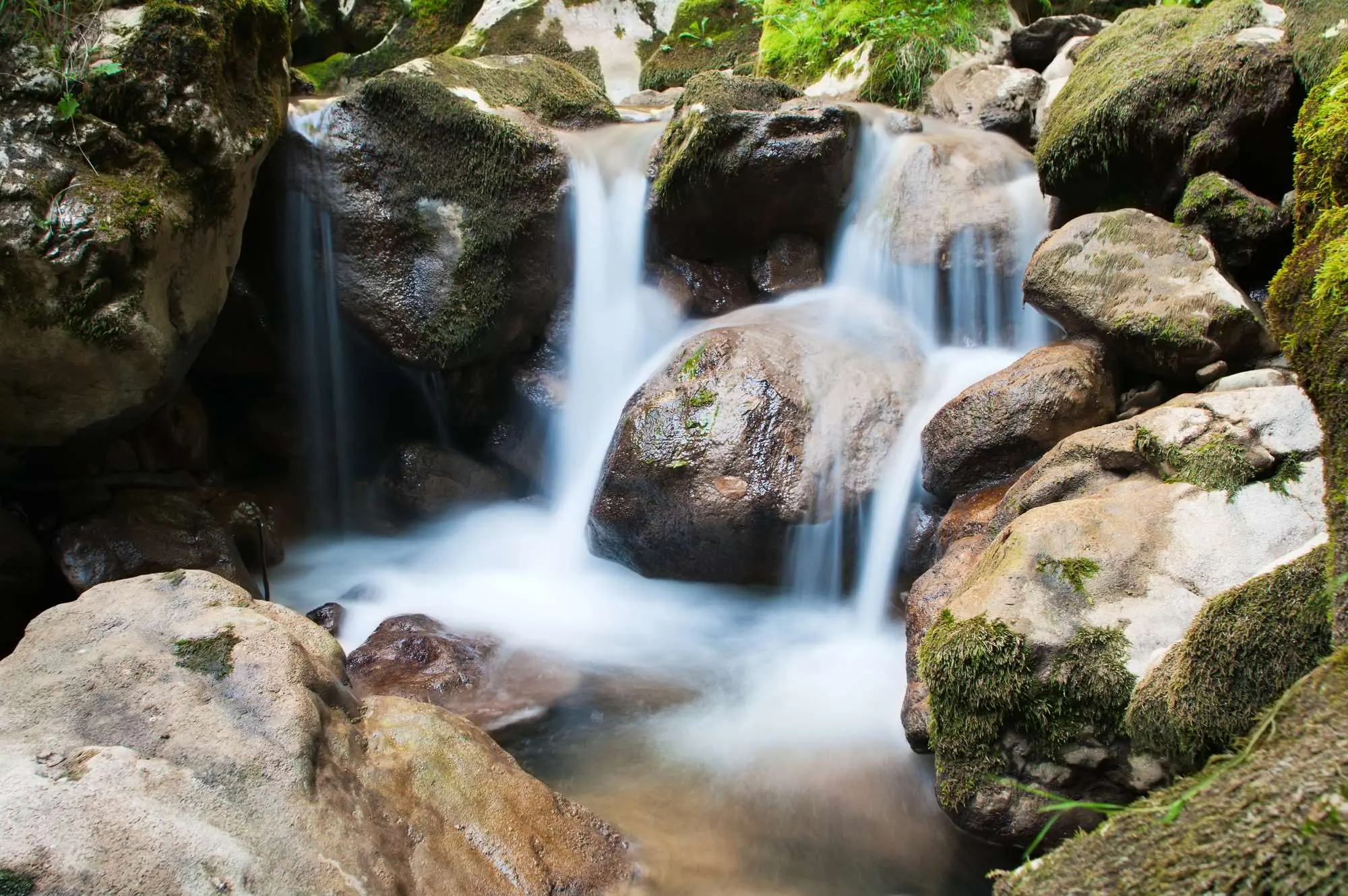 Bihora, Petnjica, Crna Gora, Bratimin vir, prirodni dragulj Crna Gora, skriveni dragulj crna gora, Murovske luke, pješačka staza Bratimin vir, Turistička organizacija Petnjica, rijeka Popča, Bratimin vir u Crnoj Gori, skriveni vodopad kraj Petnjice, prirodna atrakcija u Bihoru, kako doći do Bratiminog vira, legende o Bratiminom viru, izlet u općinu Petnjica, tajna mjesta Crne Gore, najbolji izleti u prirodi Crna Gora, vodopadi Crna Gora, skriveni dragulji Crne Gore,Bihora, Petnjica, Montenegro, Bratima's spring, natural gem of Montenegro, hidden gem of Montenegro, Murov ports, hiking trail Bratima's spring, Petnjica tourist organization, Popča river, Bratima's spring in Montenegro, hidden waterfall near Petnjica, natural attraction in Bihor, how to get to Bratima's spring, legend of Bratima's spring, trip to the municipality of Petnjica, secret places of Montenegro, best nature trips in Montenegro, waterfalls of Montenegro, hidden jewels of Montenegro