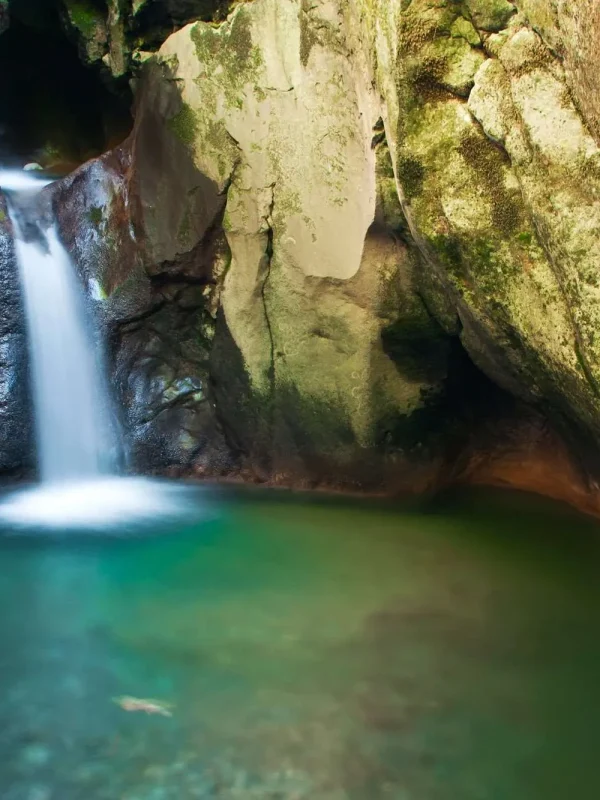 Bihora, Petnjica, Crna Gora, Bratimin vir, prirodni dragulj Crna Gora, skriveni dragulj crna gora, Murovske luke, pješačka staza Bratimin vir, Turistička organizacija Petnjica, rijeka Popča, Bratimin vir u Crnoj Gori, skriveni vodopad kraj Petnjice, prirodna atrakcija u Bihoru, kako doći do Bratiminog vira, legende o Bratiminom viru, izlet u općinu Petnjica, tajna mjesta Crne Gore, najbolji izleti u prirodi Crna Gora, vodopadi Crna Gora, skriveni dragulji Crne Gore, Bihora, Petnjica, Montenegro, Bratima's spring, natural gem of Montenegro, hidden gem of Montenegro, Murov ports, hiking trail Bratima's spring, Petnjica tourist organization, Popča river, Bratima's spring in Montenegro, hidden waterfall near Petnjica, natural attraction in Bihor, how to get to Bratima's spring, legend of Bratima's spring, trip to the municipality of Petnjica, secret places of Montenegro, best nature trips in Montenegro, waterfalls of Montenegro, hidden jewels of Montenegro