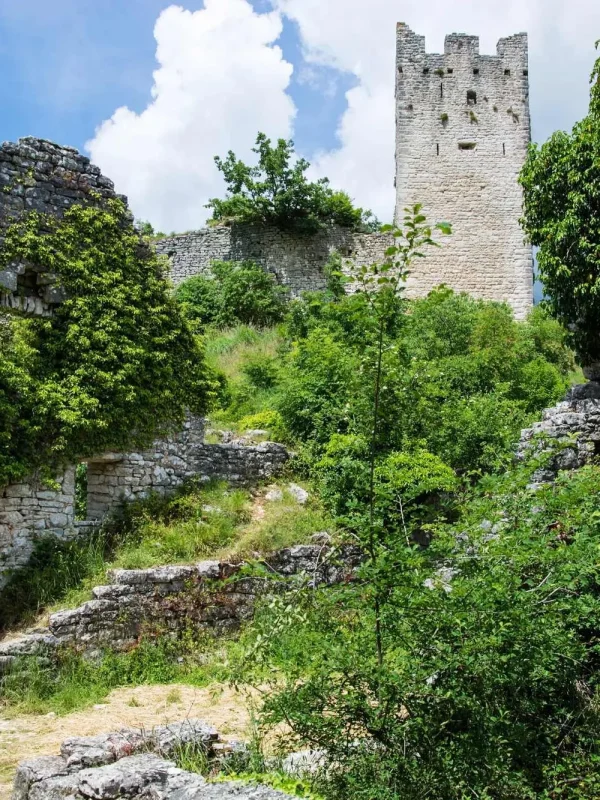 Dvigrad, Due Castelli,Parentin, Moncastello, Mletačka Republika, Istra, Kanfanar, župna crkva sv. Sofije,  Dvigrad, Istra, srednjovjekovni grad, napušteni grad, povijest Istre, Due Castelli, Moncastello, Parentina, Mlečani u Istri, Dvigrad kuga, crkva svete Sofije, istarski kašteli, arheološki lokalitet Istra, Dvigrad, Due Castelli, Parentin, Moncastello, Venetian Republic, Istria, Kanfanar, parish church of St. Sophia, Dvigrad, Istria, medieval town, abandoned town, history of Istria, Due Castelli, Moncastello, Parentina, Venetians in Istria, Dvigrad plague, church of St. Sophia, Istrian castles, archaeological site Istria