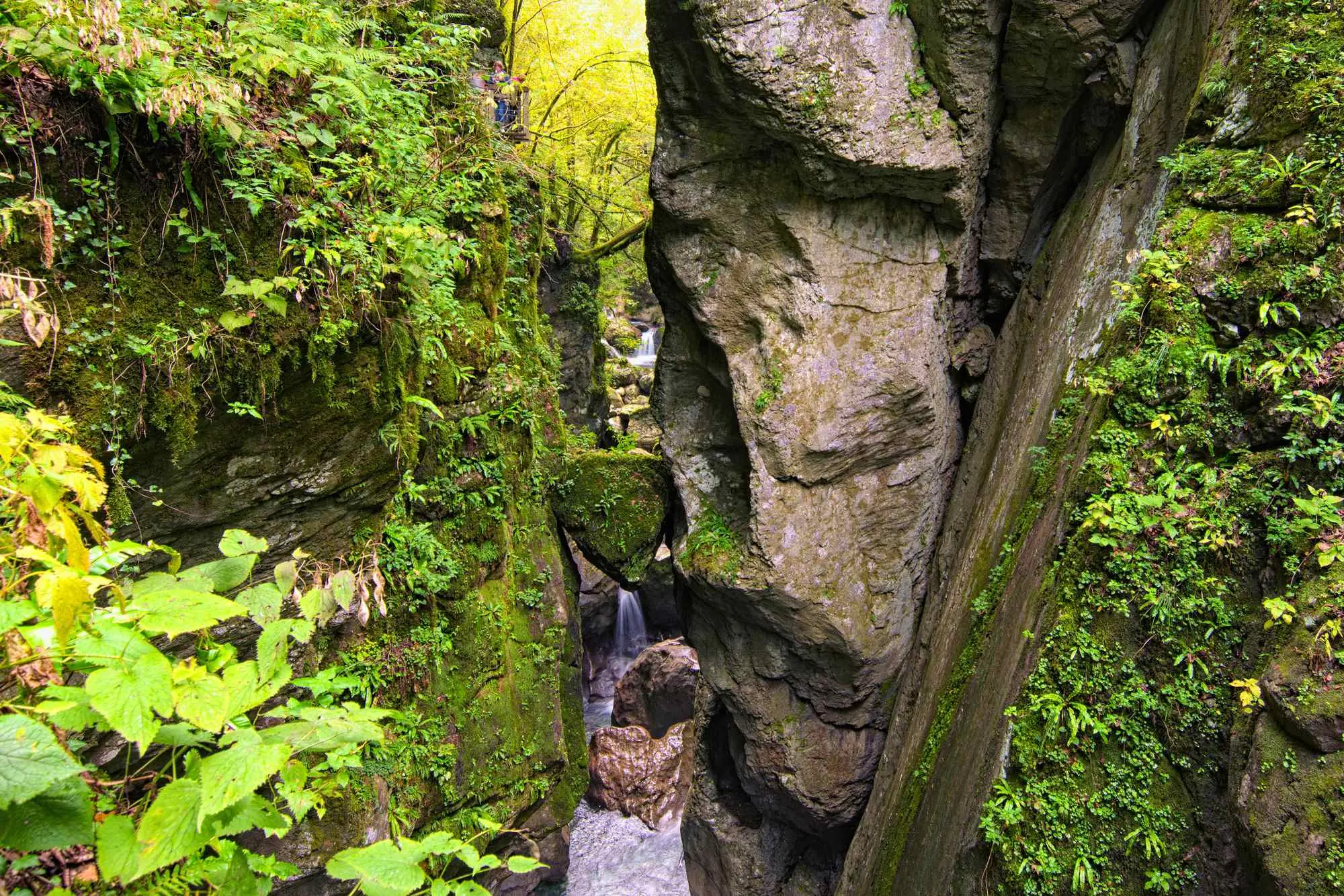 Tolminska korita, Triglav, Nacionalni park Triglav, Triglavski nacionalni park, Soča, rijeka Soča, Tolminka, Zadlaščica, Dantejeva špilja, Dante Alighieri, Medvjeđa glava, prirodne atrakcije Slovenija, klanci Slovenija, izleti Tolmin, Tolmin River, Triglav, Triglav National Park, Triglav National Park, Soča, Soča River, Tolminka, Zadlaščica, Dante's Cave, Dante Alighieri, Bear's Head, natural attractions Slovenia, gorges Slovenia, excursions Tolmin, Tolmin gorge, Tolmin gorge cave