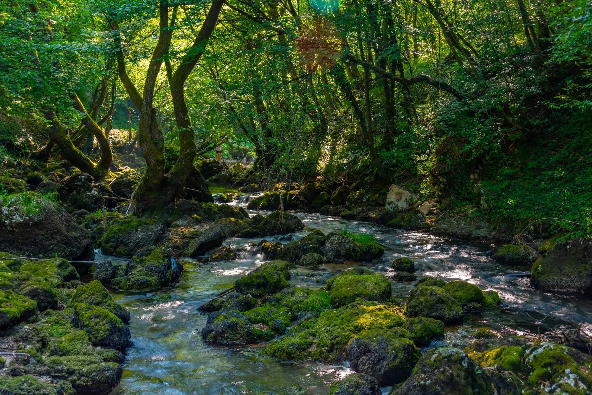 Krupa na Vrbasu, Krupa, rijeka Krupa, slapovi Krupe, Banja Luka, Vlašić, Vrbas, slapovi kraj banjaluke, izlet banja luka, priroda bosna, krupski slapovi, vikend destinacije bih, što vidjeti u bosni, prirodne ljepote kraj banjaluke, Krupa on Vrbas, Krupa, Krupa river, Krupa waterfalls, Banja Luka, Vlašić, Vrbas, waterfalls near Banja Luka, excursion to Banja Luka, nature in Bosnia, Krupa waterfalls, weekend destinations in BiH, what to see in Bosnia, natural beauty near Banja Luka,