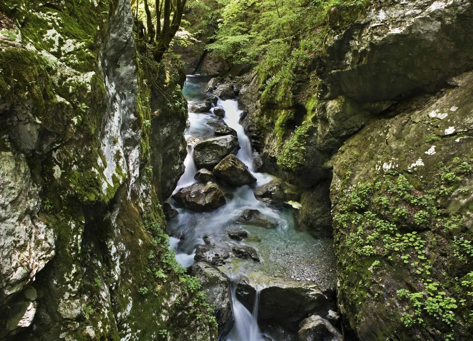 Tolminska korita, Triglav, Nacionalni park Triglav, Triglavski nacionalni park, Soča, rijeka Soča, Tolminka, Zadlaščica, Dantejeva špilja, Dante Alighieri, Medvjeđa glava, prirodne atrakcije Slovenija, klanci Slovenija, izleti Tolmin, Tolmin River, Triglav, Triglav National Park, Triglav National Park, Soča, Soča River, Tolminka, Zadlaščica, Dante's Cave, Dante Alighieri, Bear's Head, natural attractions Slovenia, gorges Slovenia, excursions Tolmin, Tolmin gorge, Tolmin gorge cave