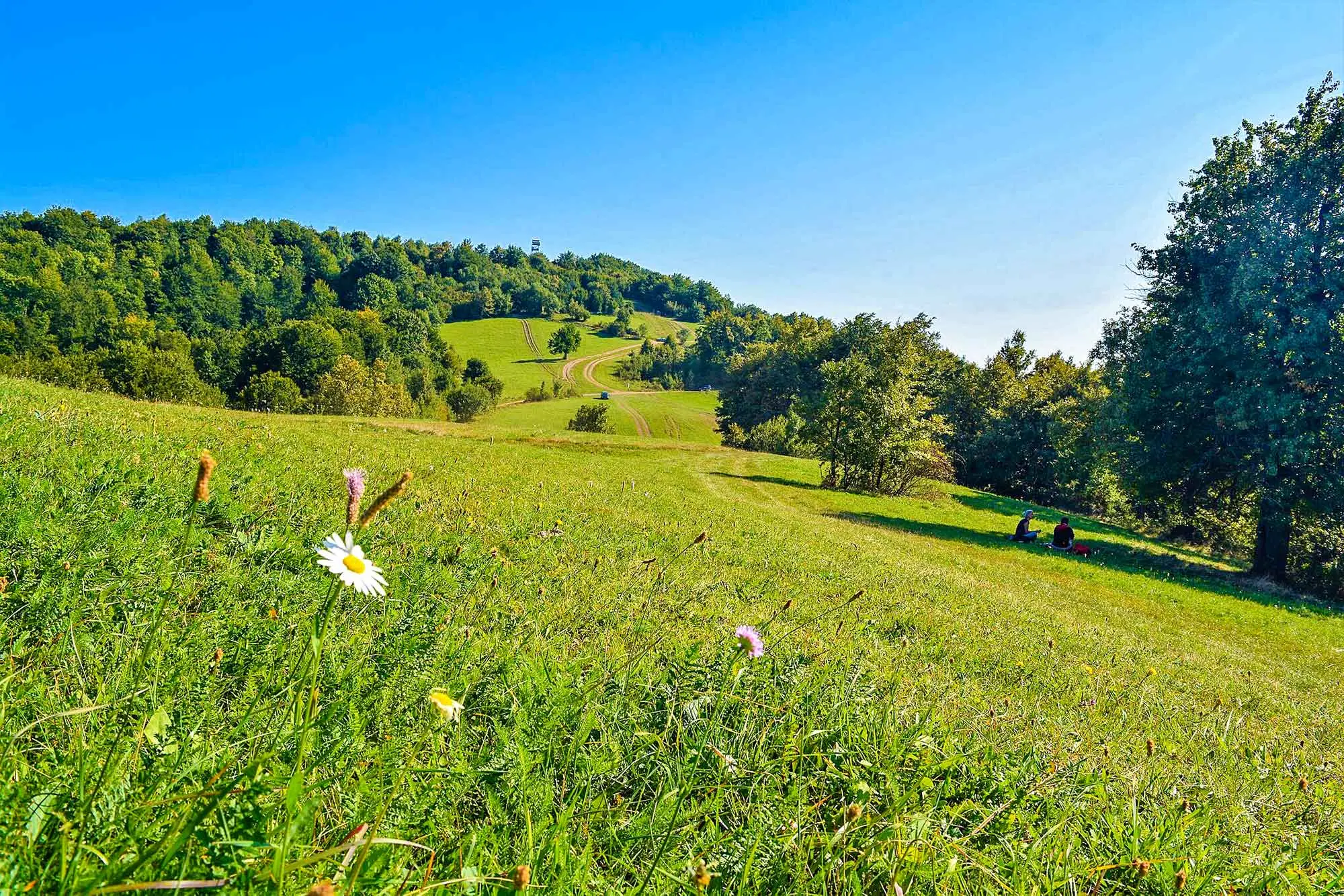 Lisina, najviši vrh Kozare, Kozara, rijeka Una, rijeka Sana, Nacionalni park Kozara, Bitka na Kozari, Kosmat, Kozara legende, Prijedor, Skijalište Kozara, Kozara, planina u Bosni, Nacionalni park Kozara, prirodne ljepote, povijest Kozare, planinarenje, kulturne atrakcije, Bosna i Hercegovina, planina kozara, turizam u Bosni, povijest i kultura Kozare, Lisina, the highest peak of Kozara, Kozara, Una river, Sana river, Kozara National Park, Battle of Kozara, Kosmat, Kozara legends, Prijedor, Ski Resort Kozara, Kozara, mountain in Bosnia, Kozara National Park, natural beauty, history of Kozara, hiking, cultural attractions, Bosnia and Herzegovina, mountain of Kozara, tourism in Bosnia, history and culture of Kozara,