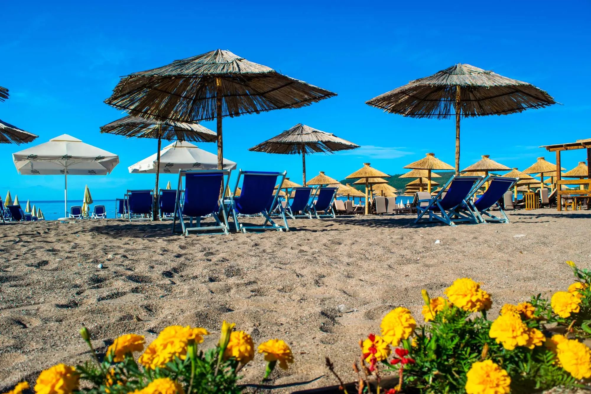 pet najljepših plaža Crne Gore, pet najljepših plaža u Crnoj Gori, plaža Mogren, Stari grad Budve, plaža Jaz, plaža Bečići, Plavi Horizonti, uvala Plavi Horizonti, plaža Plavi Horizonti, Tivat, plaža Lučice, Petrovac, plaže crna gora, najljepše plaže crna gora, ljeto 2025 crna gora, budva plaže, ulcinj velika plaža, bečići, jaz, mogren, plavi horizonti, lučice, plaže jadran,five most beautiful beaches in Montenegro, five most beautiful beaches in Montenegro, Mogren beach, Old Town Budva, Jaz beach, Bečići beach, Plavi Horizonti, Plavi Horizonti bay, Plavi Horizonti beach, Tivat, Lučice beach, Petrovac, beaches Montenegro, most beautiful beaches Montenegro, summer 2025 Montenegro, Budva beaches, Ulcinj big beach, Bečići, Jaz, Mogren, Plavi Horizonti, Lučice, beaches Adriatic,