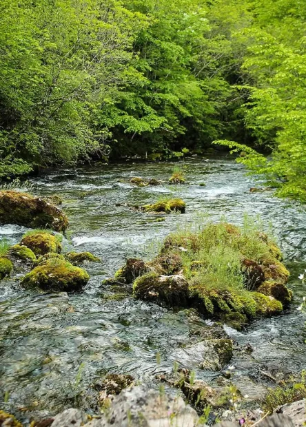 rijeke u Bosni i Hercegovini, rijeka Sana, Klekovača, Vitorog, Mrkonjić Grad, Ribnik, Ključ, Sanski Most, Prijedor, Novi Grad, Sanica, Ribnik, Dabar, Zdena, Bliha, Kozica, Japra, Gomjenica, kanjon Prizrenac,Prizren, rijeka sana, bioraznolikost rijeke sana, prirodne ljepote rijeke sana, aktivnosti na rijeci sana, kulturni značaj rijeke sana, rijeka sana bosna, rijeka sana turizam, rijeka sana atrakcije, prirodni resursi rijeke sana, rijeka sana povijest, rivers in Bosnia and Herzegovina, Sana river, Klekovača, Vitorog, Mrkonjić Grad, Ribnik, Ključ, Sanski Most, Prijedor, Novi Grad, Sanica, Ribnik, Dabar, Zdena, Bliha, Kozica, Japra, Gomjenica, Prizrenac canyon, Prizren, Sana river, biodiversity of the Sana river, natural beauty of the Sana river, activities on the Sana river, cultural significance of the Sana river, Sana river Bosnia, Sana river tourism, Sana river attractions, natural resources sana river, sana river history,