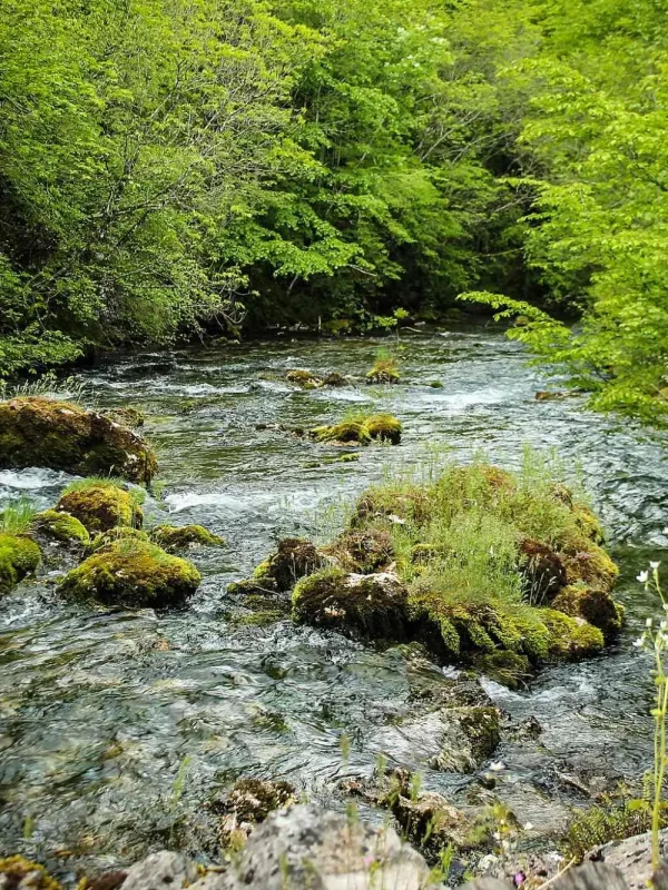 rijeke u Bosni i Hercegovini, rijeka Sana, Klekovača, Vitorog, Mrkonjić Grad, Ribnik, Ključ, Sanski Most, Prijedor, Novi Grad, Sanica, Ribnik, Dabar, Zdena, Bliha, Kozica, Japra, Gomjenica, kanjon Prizrenac,Prizren, rijeka sana, bioraznolikost rijeke sana, prirodne ljepote rijeke sana, aktivnosti na rijeci sana, kulturni značaj rijeke sana, rijeka sana bosna, rijeka sana turizam, rijeka sana atrakcije, prirodni resursi rijeke sana, rijeka sana povijest, rivers in Bosnia and Herzegovina, Sana river, Klekovača, Vitorog, Mrkonjić Grad, Ribnik, Ključ, Sanski Most, Prijedor, Novi Grad, Sanica, Ribnik, Dabar, Zdena, Bliha, Kozica, Japra, Gomjenica, Prizrenac canyon, Prizren, Sana river, biodiversity of the Sana river, natural beauty of the Sana river, activities on the Sana river, cultural significance of the Sana river, Sana river Bosnia, Sana river tourism, Sana river attractions, natural resources sana river, sana river history,