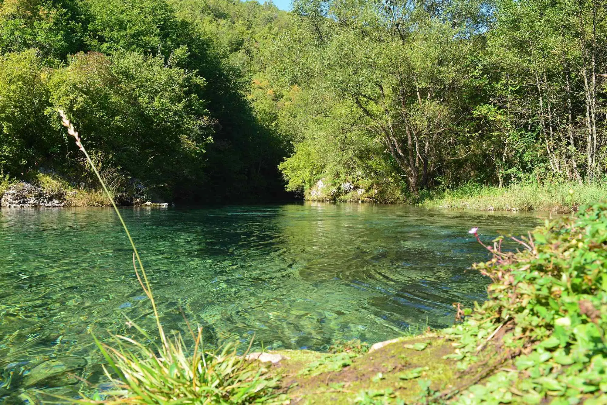 rijeke u Bosni i Hercegovini, rijeka Sana, Klekovača, Vitorog, Mrkonjić Grad, Ribnik, Ključ, Sanski Most, Prijedor, Novi Grad, Sanica, Ribnik, Dabar, Zdena, Bliha, Kozica, Japra, Gomjenica, kanjon Prizrenac,Prizren, rijeka sana, bioraznolikost rijeke sana, prirodne ljepote rijeke sana, aktivnosti na rijeci sana, kulturni značaj rijeke sana, rijeka sana bosna, rijeka sana turizam, rijeka sana atrakcije, prirodni resursi rijeke sana, rijeka sana povijest, rivers in Bosnia and Herzegovina, Sana river, Klekovača, Vitorog, Mrkonjić Grad, Ribnik, Ključ, Sanski Most, Prijedor, Novi Grad, Sanica, Ribnik, Dabar, Zdena, Bliha, Kozica, Japra, Gomjenica, Prizrenac canyon, Prizren, Sana river, biodiversity of the Sana river, natural beauty of the Sana river, activities on the Sana river, cultural significance of the Sana river, Sana river Bosnia, Sana river tourism, Sana river attractions, natural resources sana river, sana river history,