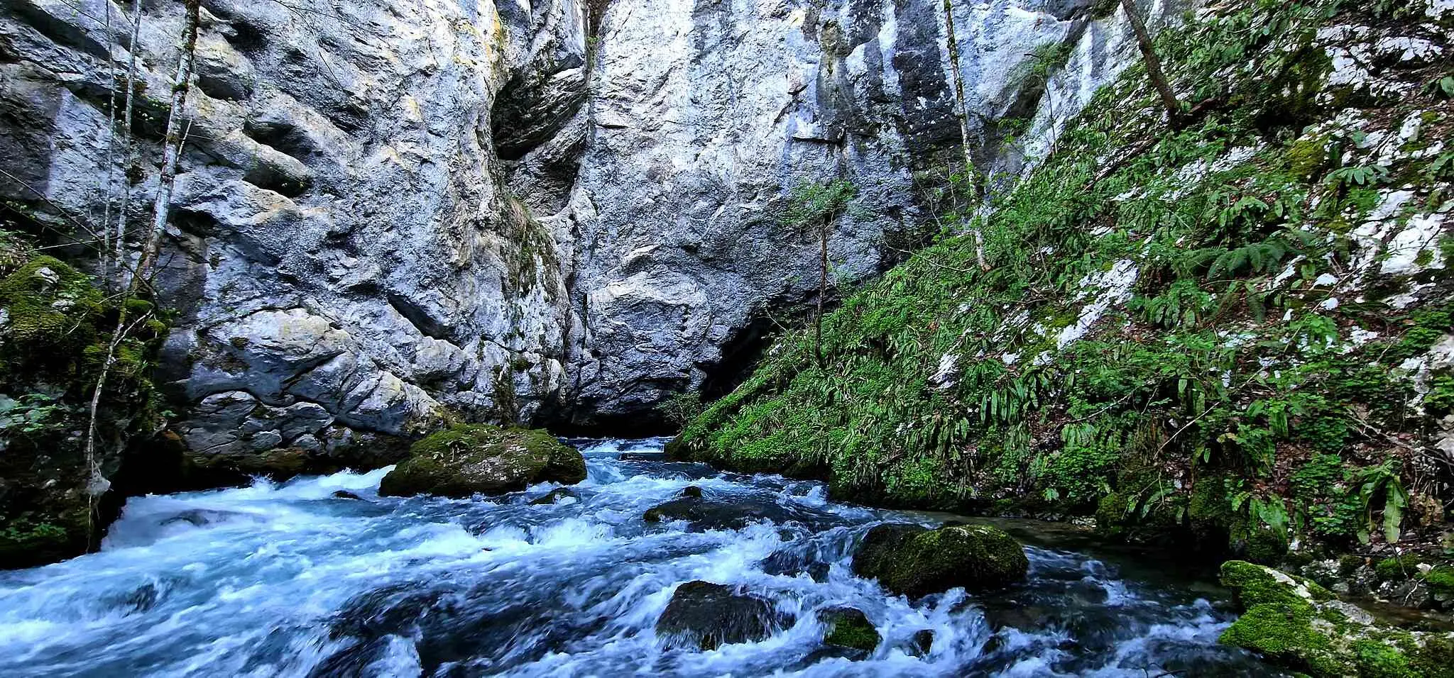 rijeke u Bosni i Hercegovini, rijeka Sana, Klekovača, Vitorog, Mrkonjić Grad, Ribnik, Ključ, Sanski Most, Prijedor, Novi Grad, Sanica, Ribnik, Dabar, Zdena, Bliha, Kozica, Japra, Gomjenica, kanjon Prizrenac,Prizren, rijeka sana, bioraznolikost rijeke sana, prirodne ljepote rijeke sana, aktivnosti na rijeci sana, kulturni značaj rijeke sana, rijeka sana bosna, rijeka sana turizam, rijeka sana atrakcije, prirodni resursi rijeke sana, rijeka sana povijest, rivers in Bosnia and Herzegovina, Sana river, Klekovača, Vitorog, Mrkonjić Grad, Ribnik, Ključ, Sanski Most, Prijedor, Novi Grad, Sanica, Ribnik, Dabar, Zdena, Bliha, Kozica, Japra, Gomjenica, Prizrenac canyon, Prizren, Sana river, biodiversity of the Sana river, natural beauty of the Sana river, activities on the Sana river, cultural significance of the Sana river, Sana river Bosnia, Sana river tourism, Sana river attractions, natural resources sana river, sana river history,