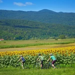 Metlika, Črnomelj, Semič, Slovenija, rijeka Kupa, Gorjanci, Kočevski Rog, Bela krajina, Novo  Mesto, rijeka Lahinja, Kolpa, Vinica, Oton Župančič, belokranjska pogača, rijeka kupa, lahinja, kamp podzemelj, krajinski park lahinja, slovenske regije, Metlika, Črnomelj, Semič, Slovenia, Kupa river, Gorjanci, Kočevski Rog, Bela krajina, Novo Mesto, Lahinja river, Kolpa, Vinica, Oton Župančič, Belokranjska pogača, Kupa river, Lahinja, Podzemelj camp, Lahinja landscape park, Slovenian regions,