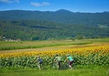 Metlika, Črnomelj, Semič, Slovenija, rijeka Kupa, Gorjanci, Kočevski Rog, Bela krajina, Novo  Mesto, rijeka Lahinja, Kolpa, Vinica, Oton Župančič, belokranjska pogača, rijeka kupa, lahinja, kamp podzemelj, krajinski park lahinja, slovenske regije, Metlika, Črnomelj, Semič, Slovenia, Kupa river, Gorjanci, Kočevski Rog, Bela krajina, Novo Mesto, Lahinja river, Kolpa, Vinica, Oton Župančič, Belokranjska pogača, Kupa river, Lahinja, Podzemelj camp, Lahinja landscape park, Slovenian regions,