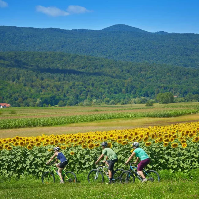 Metlika, Črnomelj, Semič, Slovenija, rijeka Kupa, Gorjanci, Kočevski Rog, Bela krajina, Novo  Mesto, rijeka Lahinja, Kolpa, Vinica, Oton Župančič, belokranjska pogača, rijeka kupa, lahinja, kamp podzemelj, krajinski park lahinja, slovenske regije, Metlika, Črnomelj, Semič, Slovenia, Kupa river, Gorjanci, Kočevski Rog, Bela krajina, Novo Mesto, Lahinja river, Kolpa, Vinica, Oton Župančič, Belokranjska pogača, Kupa river, Lahinja, Podzemelj camp, Lahinja landscape park, Slovenian regions,