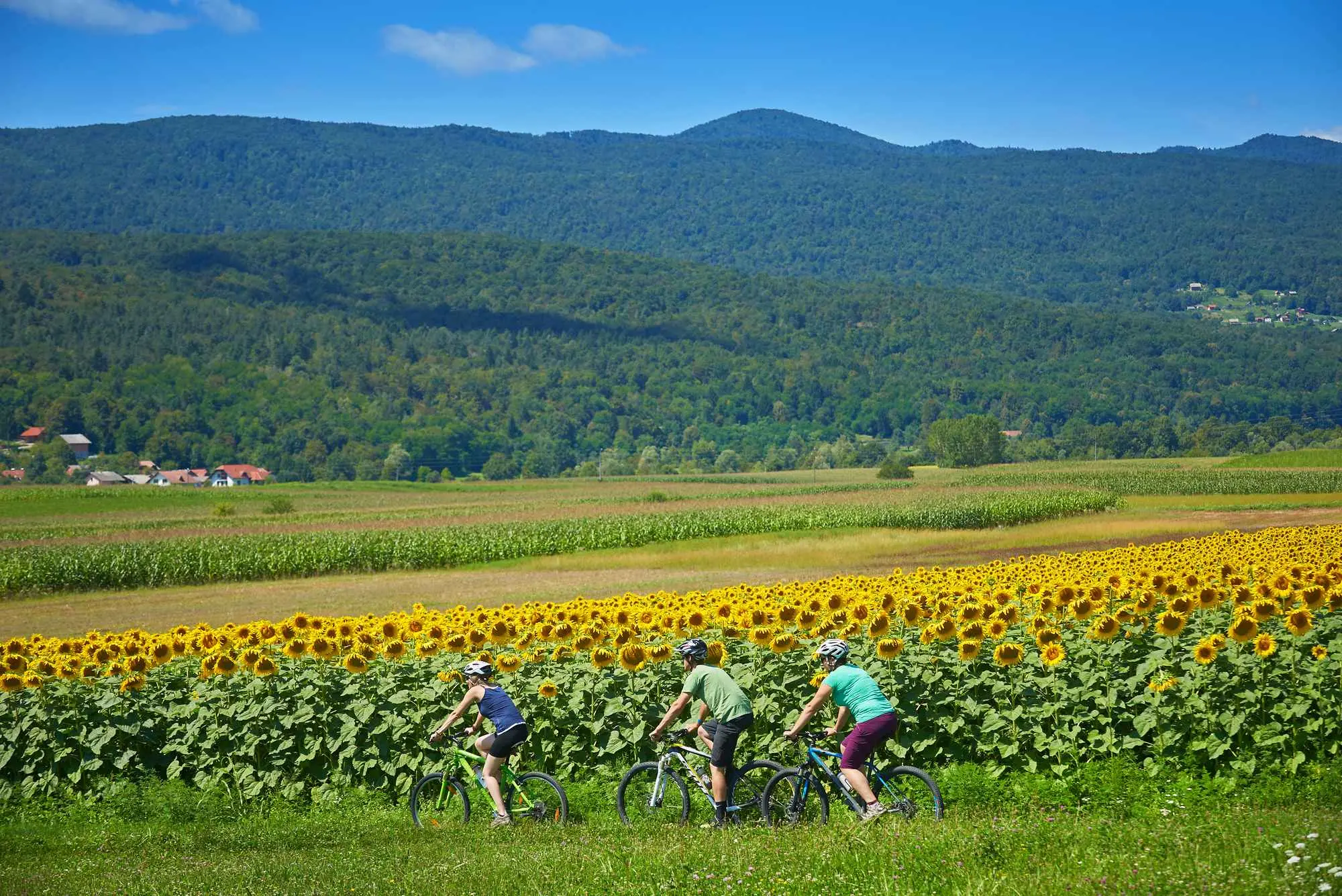 Metlika, Črnomelj, Semič, Slovenija, rijeka Kupa, Gorjanci, Kočevski Rog, Bela krajina, Novo  Mesto, rijeka Lahinja, Kolpa, Vinica, Oton Župančič, belokranjska pogača, rijeka kupa, lahinja, kamp podzemelj, krajinski park lahinja, slovenske regije, Metlika, Črnomelj, Semič, Slovenia, Kupa river, Gorjanci, Kočevski Rog, Bela krajina, Novo Mesto, Lahinja river, Kolpa, Vinica, Oton Župančič, Belokranjska pogača, Kupa river, Lahinja, Podzemelj camp, Lahinja landscape park, Slovenian regions,