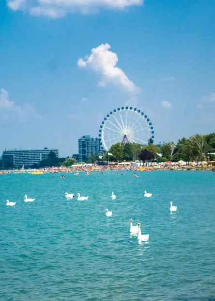 jezero Balaton, najveće jezero srednje Europe, Mađarska, mađarsko more, najveće prirodno jezero, Tihany, Festival lavande, olaszrizling, dvorac Festetics, Keszthely, Tapolcei, dvorac Festetics,Hévíz, Heviz, Siófok, Nacionalni park Balaton-felvidék, Nacionalni park vikend izlet Mađarska, Balaton vino, Balaton lavanda, bicikliranje Balaton, termalna voda Mađarska, jezero balaton wikipedia, Lake Balaton, the largest lake in Central Europe, Hungary, Hungarian Sea, the largest natural lake, Tihany, Lavender Festival, olaszrizling, Festetics Castle, Keszthely, Tapolcei, Festetics Castle, Hévíz, Heviz, Siófok, National Park Balaton-felvidék, National Park Weekend Trip Hungary, Balaton Wine, Balaton Lavender, Cycling Balaton, Thermal Water Hungary, Lake Balaton wikipedia,