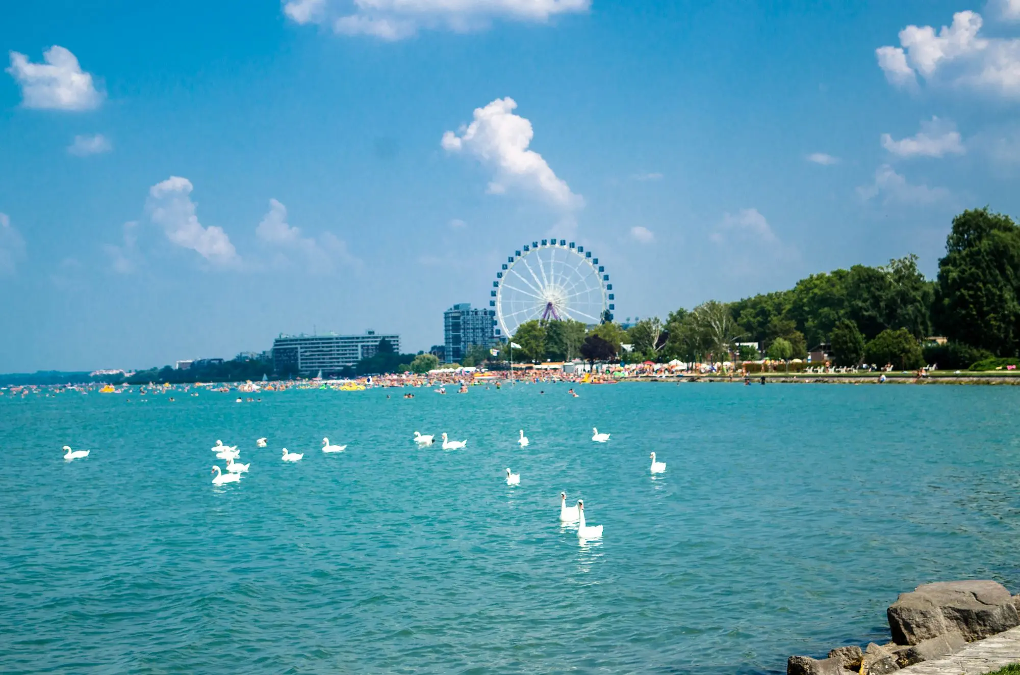 jezero Balaton, najveće jezero srednje Europe, Mađarska, mađarsko more, najveće prirodno jezero, Tihany, Festival lavande, olaszrizling, dvorac Festetics, Keszthely, Tapolcei, dvorac Festetics,Hévíz, Heviz, Siófok, Nacionalni park Balaton-felvidék, Nacionalni park vikend izlet Mađarska, Balaton vino, Balaton lavanda, bicikliranje Balaton, termalna voda Mađarska, jezero balaton wikipedia, Lake Balaton, the largest lake in Central Europe, Hungary, Hungarian Sea, the largest natural lake, Tihany, Lavender Festival, olaszrizling, Festetics Castle, Keszthely, Tapolcei, Festetics Castle, Hévíz, Heviz, Siófok, National Park Balaton-felvidék, National Park Weekend Trip Hungary, Balaton Wine, Balaton Lavender, Cycling Balaton, Thermal Water Hungary, Lake Balaton wikipedia,