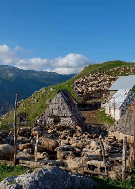 Bjelašnica, Lukomir, najviše stalno naseljeno selo u Bosni i Hercegovini, naseljeno selo u Bosni i Hercegovini, kanjon rijeke Rakitnice, Rakitnica,  selo Lukomir, najviše naseljeno selo BiH, život u Lukomiru, planinska sela Bosna i Hercegovina, Bjelašnica selo, kanjon Rakitnice, tradicija i priroda, planinski turizam BiH, Bjelašnica, Lukomir, the most permanently inhabited village in Bosnia and Herzegovina, inhabited village in Bosnia and Herzegovina, Rakitnica river canyon, Rakitnica, Lukomir village, the most populated village of BiH, life in Lukomir, mountain villages of Bosnia and Herzegovina, Bjelašnica village, Rakitnica canyon, tradition and nature, mountain tourism of BiH,