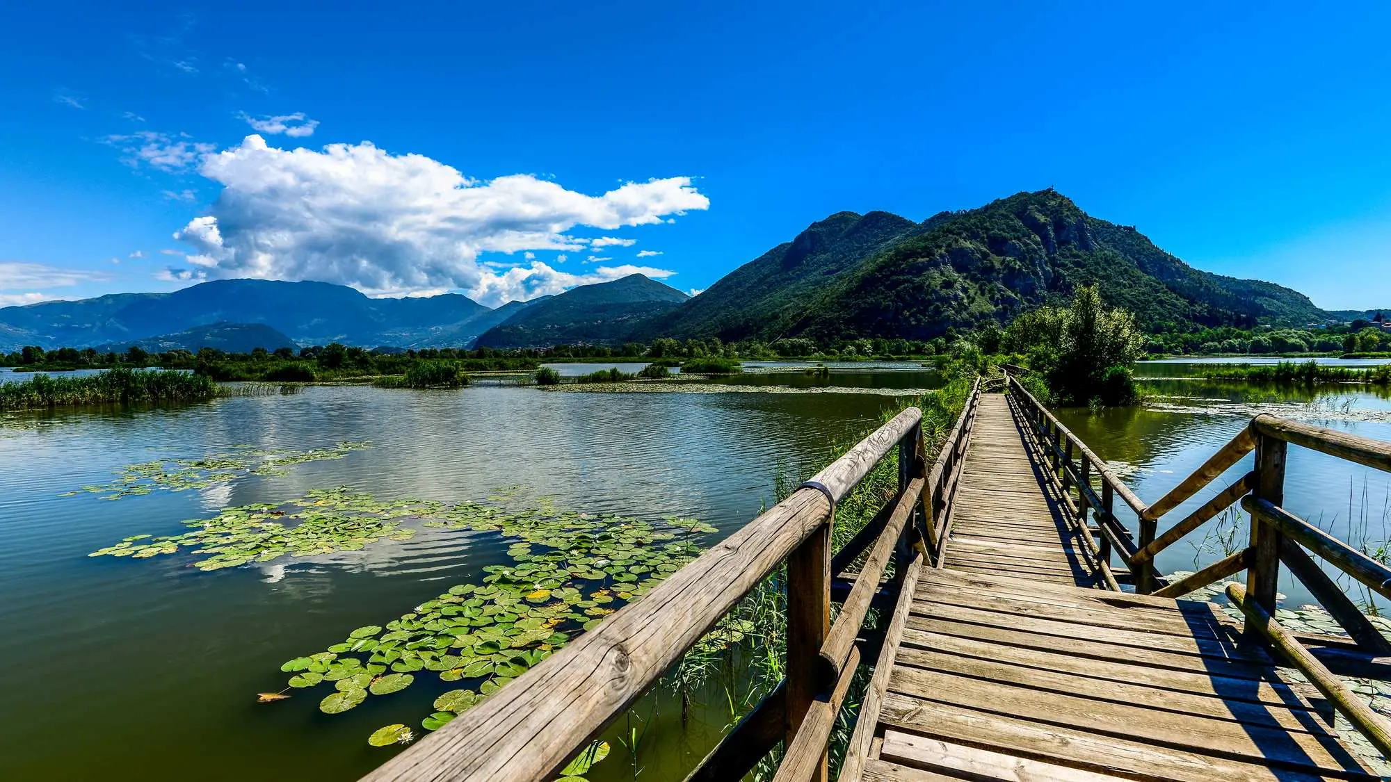 jezero Iseo, Lago d’Iseo, Monte Isola, talijanska jezera, neotkrivena mjesta u Italiji, putovanje Italija, Lombardija jezera, autentična Italija, jezera bez gužve, prirodne ljepote Italije, Iseo, Lombardija, jezero Iseo, Bergamo, Brescia, Monte Isola, otok Monte Isola, najveći naseljeni jezerski otok u Europi, najveći jezerski otok, Iseo, Lovere, Sarnico, Marone, Sulzano, Franciacorta, Torbiere del Sebino, močvara Sebino, Lake Iseo, Lago d’Iseo, Monte Isola, Italian lakes, undiscovered places in Italy, travel Italy, Lombardy lakes, authentic Italy, uncrowded lakes, natural beauty of Italy, Iseo, Lombardy, Lake Iseo, Bergamo, Brescia, Monte Isola, Monte Isola island, largest inhabited lake island in Europe, largest lake island, Iseo, Lovere, Sarnico, Marone, Sulzano, Franciacorta, Torbiere del Sebino, Sebino marsh, Sebino wetland,