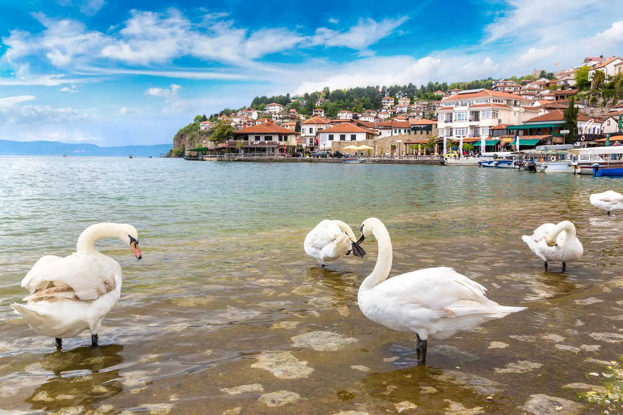 Sjeverna Makedonija, Albanija, najstarije jezero u Europi, Ohridsko jezero, jezero Ohrid, Pogradec, Ohrid, Crkva sv. Jovana Kanea, Tvrđava cara Samuila, Manastir Sveti Naum, Samuilova kula, Plaošnik, Crni Drim, Drilon, planina Galičice, atrakcije, što vidjeti, putovanje, Sveti Naum, Jovan Kaneo, UNESCO, BalkanNorth Macedonia, Albania, the oldest lake in Europe, Lake Ohrid, Lake Ohrid, Pogradec, Ohrid, Church of St. Jovana Kanea, Tsar Samuil's Fortress, Sveti Naum Monastery, Samuil's Tower, Plaošnik, Crni Drim, Drilon, Galičice Mountain,attractions, what to see, travel, Sveti Naum, Jovan Kaneo, UNESCO, Balkans