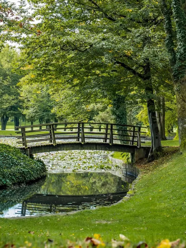 Kranj, Park Brdo kod Kranja, Park Brdo Kranj, Kamniško Savinjske Alpe, Brdo pri Kranju, Brdo dvorac, dvorac Brdo, park Brdo kod Kranja, izlet Slovenija, lipicaneri Kranj, Brdo pri Kranju šetnja, izleti u prirodi Slovenija, parkovi u Sloveniji, kulturna baština Kranj, Kranj, Park Brdo kod Kranj, Park Brdo Kranj, Kamniško Savinjske Alps, Brdo pri Kranj, Brdo castle, Brdo castle, Park Brdo kod Kranj, excursion Slovenia, Lipicaneri Kranj, Brdo pri Kranj walk, nature trips Slovenia, parks in Slovenia, cultural heritage Kranj,