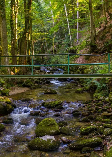 Bistriški vintgar, Soteska Vintgar, Slovenske Bistrice, Pohorje, rijeka Bistrica, slap Šum, Črno jezero, Bistrica vintgar, Soteska Vintgar, Slovenske Bistrice, Pohorje, Bistrica river, Šum waterfall, Črno jezero, Bistriški vintgar, Soteška vintgar, Slovenska Bistrica, Pohorje, reka Bistrica, slap Šum, Črno jezero,