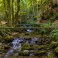 Bistriški vintgar, Soteska Vintgar, Slovenske Bistrice, Pohorje, rijeka Bistrica, slap Šum, Črno jezero, Bistrica vintgar, Soteska Vintgar, Slovenske Bistrice, Pohorje, Bistrica river, Šum waterfall, Črno jezero, Bistriški vintgar, Soteška vintgar, Slovenska Bistrica, Pohorje, reka Bistrica, slap Šum, Črno jezero,