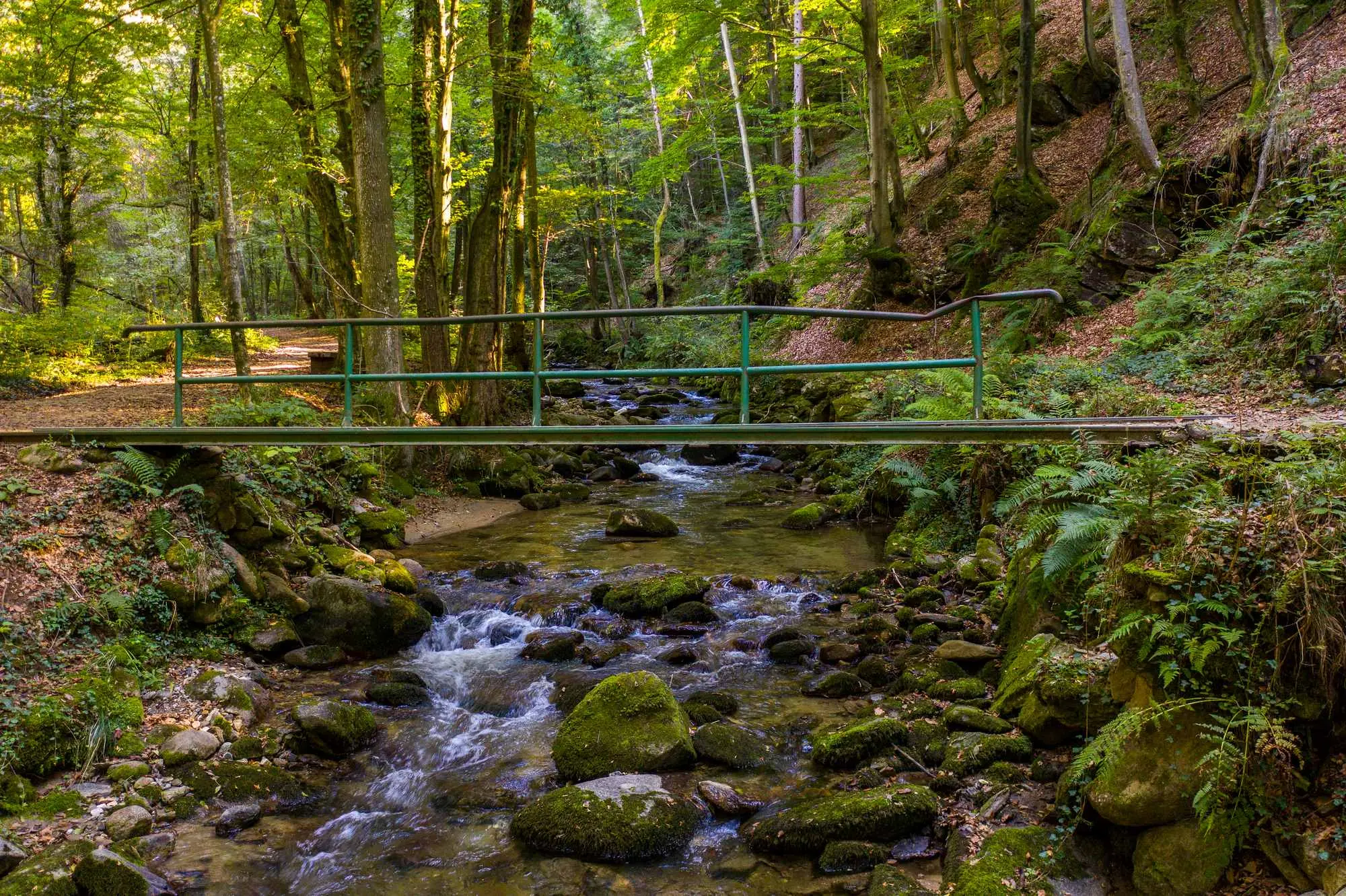 Bistriški vintgar, Soteska Vintgar, Slovenske Bistrice, Pohorje, rijeka Bistrica, slap Šum, Črno jezero, Bistrica vintgar, Soteska Vintgar, Slovenske Bistrice, Pohorje, Bistrica river, Šum waterfall, Črno jezero, Bistriški vintgar, Soteška vintgar, Slovenska Bistrica, Pohorje, reka Bistrica, slap Šum, Črno jezero,