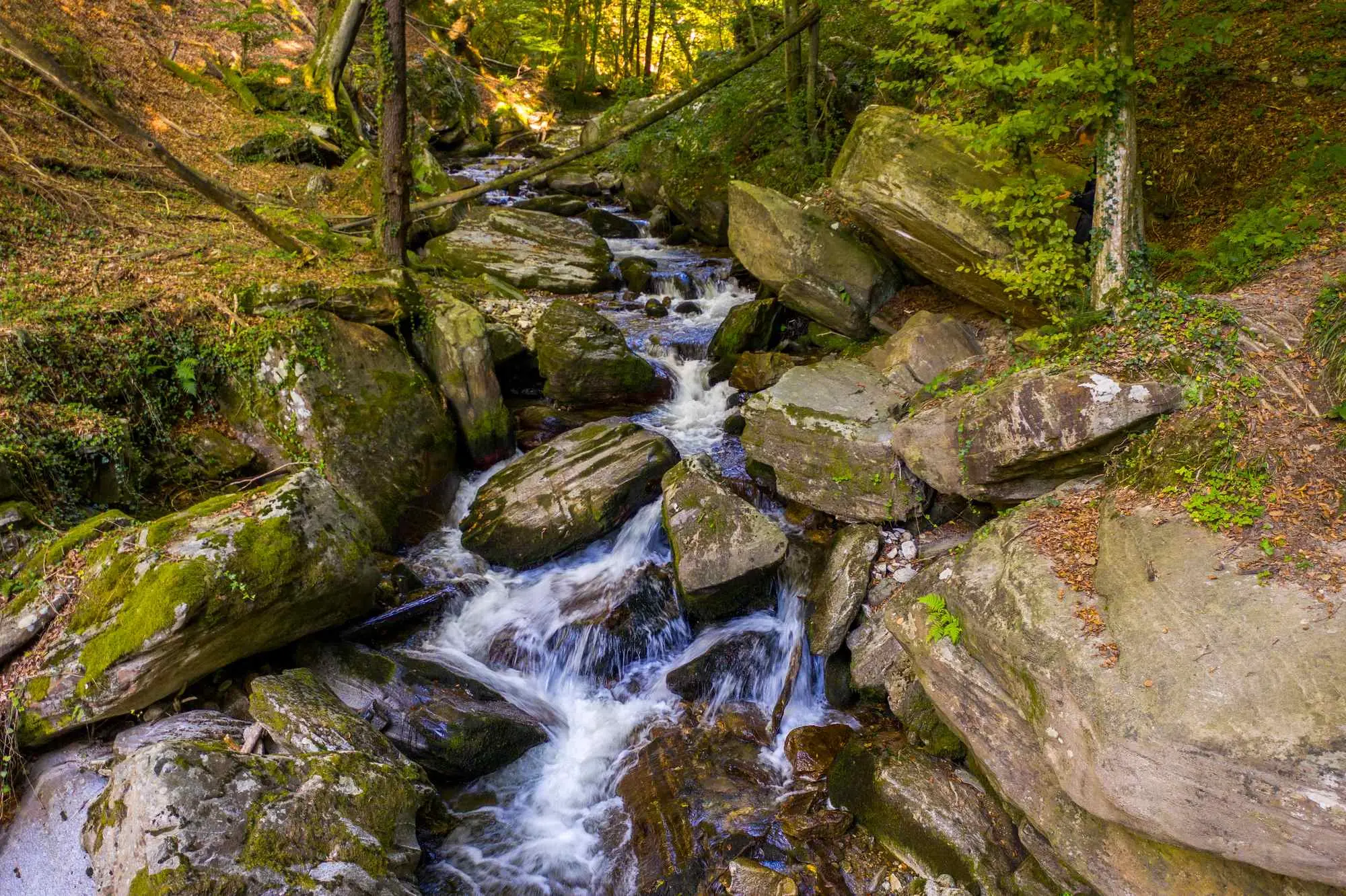 Bistriški vintgar, Soteska Vintgar, Slovenske Bistrice, Pohorje, rijeka Bistrica, slap Šum, Črno jezero, Bistrica vintgar, Soteska Vintgar, Slovenske Bistrice, Pohorje, Bistrica river, Šum waterfall, Črno jezero, Bistriški vintgar, Soteška vintgar, Slovenska Bistrica, Pohorje, reka Bistrica, slap Šum, Črno jezero,