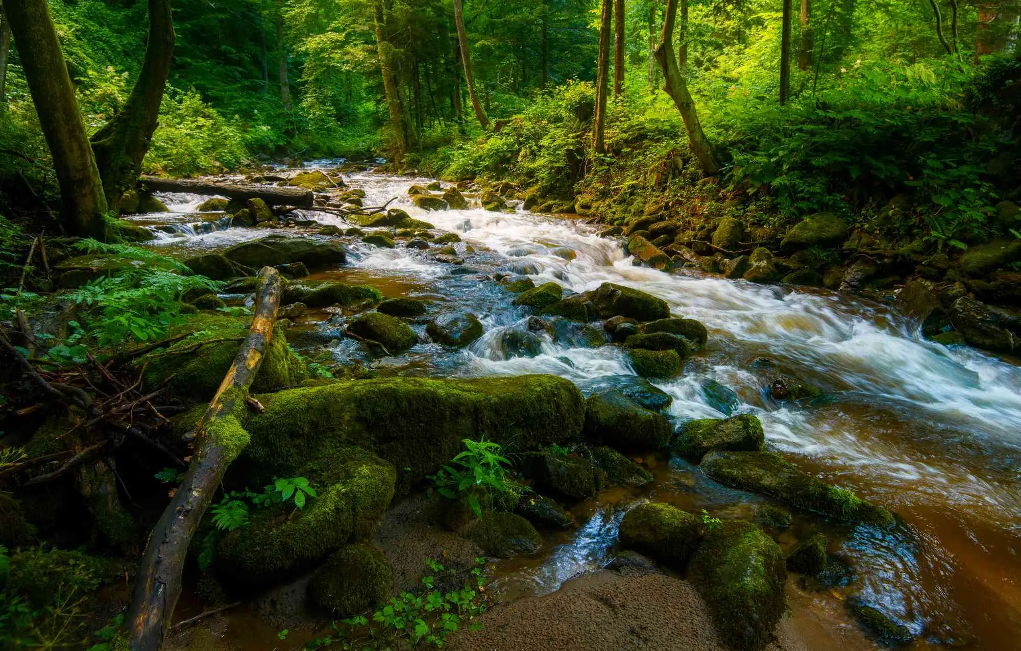 Bistriški vintgar, Soteska Vintgar, Slovenske Bistrice, Pohorje, rijeka Bistrica, slap Šum, Črno jezero, Bistrica vintgar, Soteska Vintgar, Slovenske Bistrice, Pohorje, Bistrica river, Šum waterfall, Črno jezero, Bistriški vintgar, Soteška vintgar, Slovenska Bistrica, Pohorje, reka Bistrica, slap Šum, Črno jezero,