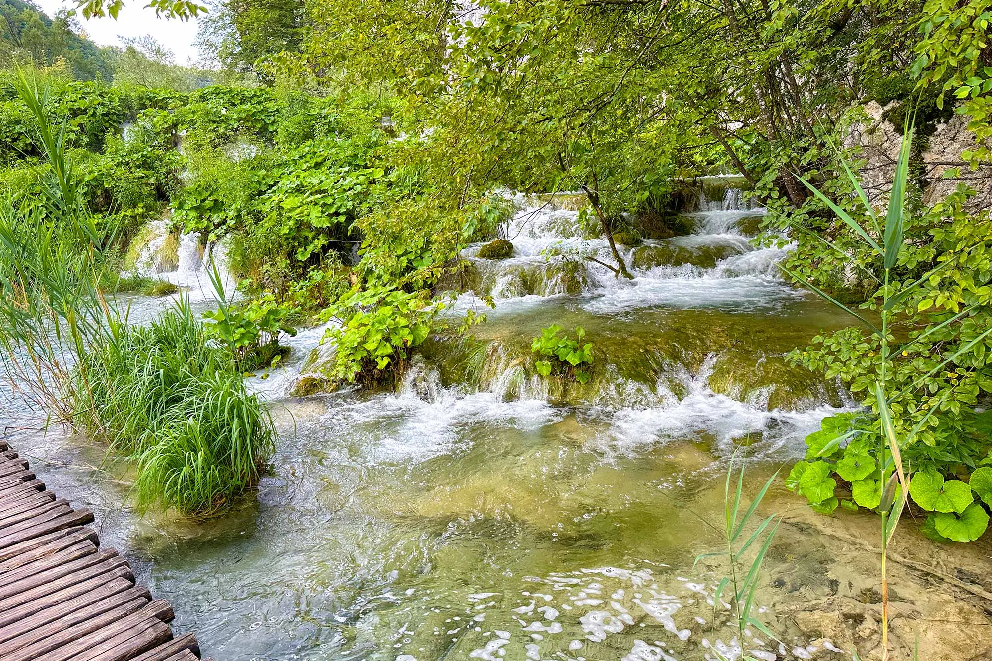 Plitvička jezera, UNESCO Popis svjetske prirodne baštine, Jesenski promotivni tjedan, Jesenski promotivni tjedan Nacionalnog parka Plitvička jezera, Lika Quality, jesen na plitvicama, Plitvice Lakes, UNESCO World Heritage List, Autumn Promotional Week, Autumn Promotional Week Plitvice Lakes National Park, Lika Quality, autumn in Plitvice Lakes,