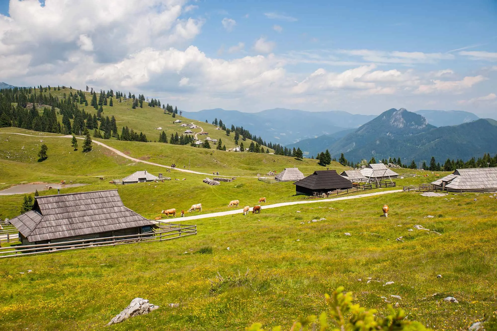Slovenija, Logarska dolina, Jezero Zelenci, Kranjska Gora, Velika planina, Tolminska korita, Otočec na Krki, Slap Virje, Bovec, slap Rinka, , jesenski izleti slovenija, jesenski izleti u sloveniji, izleti slovenija, jesen Slovenia, Logarska dolina, Jezero Zelenci, Kranjska Gora, Velika planina, Tolminska korita, Otočec na Krka, Slap Virje, Bovec, Slap Rinka, autumn excursions in Slovenia, autumn excursions in Slovenia, excursions in Slovenia, autumn trip slovenia, autumn