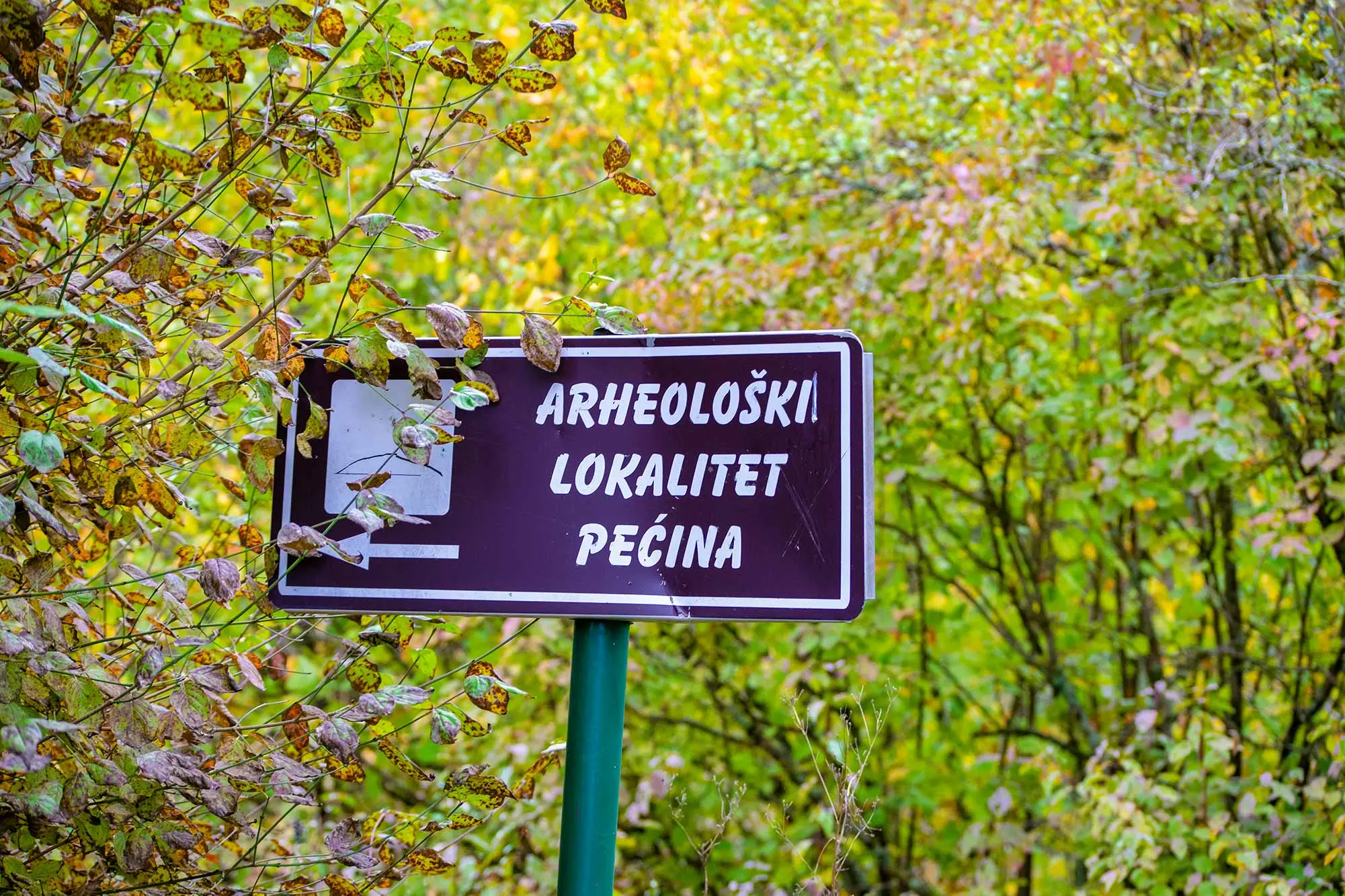 dolina rijeke Gacke, Ličko Lešće, rijeka Kostelka, Hrvatski centar za autohtone vrste riba i rakova krških voda, staza lavande i smilja, Gacka dolina, Pećina u Lešću, najstariji lokalitet na području Gacke, Pećina Ličko Lešće, arheološki lokalitet Gacka, izvor Kostelke, mezolitska špilja Hrvatska, japodska kultura, brončano doba Gacka, povijest Gacke doline, prapovijesna Hrvatska, Gacka River Valley, Ličko Lešće, Kostelka River, Croatian Center for Autochthonous Fish and Crustaceans of Karst Waters, Lavender and Immortelle Trail, Gacka Valley, Cave in Lešće, the oldest site in the Gacka area, Ličko Lešće Cave, Gacka archaeological site, Kostelka Spring, Mesolithic Cave Croatia, Japodian Culture, Bronze Age Gacka, history of the Gacka Valley, prehistoric Croatia,