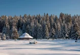 Igman, Sarajevo, Hadžić, Veliko i Malo polje, Veliko polje, Malo polje, Crni vrh, Igman najviši vrh, Zimske olimpijske igre Sarajevo, izletište Stojčevac, igman, sarajevo, veliko polje, malo polje, stojčevac, olimpijada 1984, planina bosna i hercegovina, crni vrh, skijanje, biatlon, skijaško trčanje, Igman, Sarajevo, Hadžić, Veliko and Malo polje, Veliko polje, Malo polje, Crni vrh, Igman highest peak, Winter Olympics Sarajevo, Stojčevac picnic area, igman, sarajevo, veliko polje, malo polje, stojčevac, 1984 Olympics, mountain bosnia and herzegovina, crni vrh, skiing, biathlon, cross-country skiing,