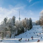 Gdje na sanjkanje u Hrvatskoj, sanjkanje u Slavoniji, sanjkanje na Papuku, sanjkanje Jankovac, sanjkanje Duboka, sanjkanje u Zagrebu i središnjoj Hrvatskoj, sanjkanje na Sljemenu, sanjkanje Činovnička livada, sanjkanje na Žumberku, sanjkanje Budinjak, sanjkanje Plešivica, sanjkanje Japetić, sanjkanje na Kvarneru, sanjkanje Platak, sanjkanje Vrata Fužine, sanjkanje u Gorskom kotaru, sanjkanje Mrkopalj, sanjkanje Kupjak, sanjkanje Delnice, sanjkanje Rusovi dolci, sanjkanje Petehovac, sanjkanje Tršće, sanjkanje Vujnovići, sanjkanje Kamačnik, sanjkanje u Lici, sanjkanje Mukinje, sanjkanje Plitvice, sanjkanje Cvituša, zimska izletišta u Hrvatskoj, izleti na snijeg bez skijanja, Jankovac, Duboka, Budinjak, Činovnička livada, Poljanice, Japetić, Platak, Vrata, Mrkopalj, Kupjak, Rusovi dolci, Petehovac, Tršće, Vujnovići, Mukinje, Cvituša, saknjanje slavonija, sanjkanje primorje, sanjkanje gorski kotar, sanjkanje zagreb, Where to go sledding in Croatia, sledding in Slavonia, sledding on Papuk, Jankovac sledding, Duboka sledding, sledding in Zagreb and Central Croatia, sledding on Sljeme, Činovnička livada sledding, sledding in Žumberak, Budinjak sledding, Plešivica sledding, Japetić sledding, sledding in Kvarner, Platak sledding, Vrata Fužine sledding, sledding in Gorski kotar, Mrkopalj sledding, Kupjak sledding, Delnice sledding, Rusovi dolci sledding, Petehovac sledding, Tršće sledding, Vujnovići sledding, Kamačnik sledding, sledding in Lika, Mukinje sledding, Plitvice sledding, Cvituša sledding, winter day trips in Croatia, snow trips without skiing, Jankovac, Duboka, Budinjak, Činovnička livada, Poljanice, Japetić, Platak, Vrata, Mrkopalj, Kupjak, Rusovi dolci, Petehovac, Tršće, Vujnovići, Mukinje, Cvituša, sledding in Slavonia, sledding on the coast, sledding in Gorski kotar, sledding in Zagreb