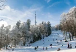 Gdje na sanjkanje u Hrvatskoj, sanjkanje u Slavoniji, sanjkanje na Papuku, sanjkanje Jankovac, sanjkanje Duboka, sanjkanje u Zagrebu i središnjoj Hrvatskoj, sanjkanje na Sljemenu, sanjkanje Činovnička livada, sanjkanje na Žumberku, sanjkanje Budinjak, sanjkanje Plešivica, sanjkanje Japetić, sanjkanje na Kvarneru, sanjkanje Platak, sanjkanje Vrata Fužine, sanjkanje u Gorskom kotaru, sanjkanje Mrkopalj, sanjkanje Kupjak, sanjkanje Delnice, sanjkanje Rusovi dolci, sanjkanje Petehovac, sanjkanje Tršće, sanjkanje Vujnovići, sanjkanje Kamačnik, sanjkanje u Lici, sanjkanje Mukinje, sanjkanje Plitvice, sanjkanje Cvituša, zimska izletišta u Hrvatskoj, izleti na snijeg bez skijanja, Jankovac, Duboka, Budinjak, Činovnička livada, Poljanice, Japetić, Platak, Vrata, Mrkopalj, Kupjak, Rusovi dolci, Petehovac, Tršće, Vujnovići, Mukinje, Cvituša, saknjanje slavonija, sanjkanje primorje, sanjkanje gorski kotar, sanjkanje zagreb, Where to go sledding in Croatia, sledding in Slavonia, sledding on Papuk, Jankovac sledding, Duboka sledding, sledding in Zagreb and Central Croatia, sledding on Sljeme, Činovnička livada sledding, sledding in Žumberak, Budinjak sledding, Plešivica sledding, Japetić sledding, sledding in Kvarner, Platak sledding, Vrata Fužine sledding, sledding in Gorski kotar, Mrkopalj sledding, Kupjak sledding, Delnice sledding, Rusovi dolci sledding, Petehovac sledding, Tršće sledding, Vujnovići sledding, Kamačnik sledding, sledding in Lika, Mukinje sledding, Plitvice sledding, Cvituša sledding, winter day trips in Croatia, snow trips without skiing, Jankovac, Duboka, Budinjak, Činovnička livada, Poljanice, Japetić, Platak, Vrata, Mrkopalj, Kupjak, Rusovi dolci, Petehovac, Tršće, Vujnovići, Mukinje, Cvituša, sledding in Slavonia, sledding on the coast, sledding in Gorski kotar, sledding in Zagreb